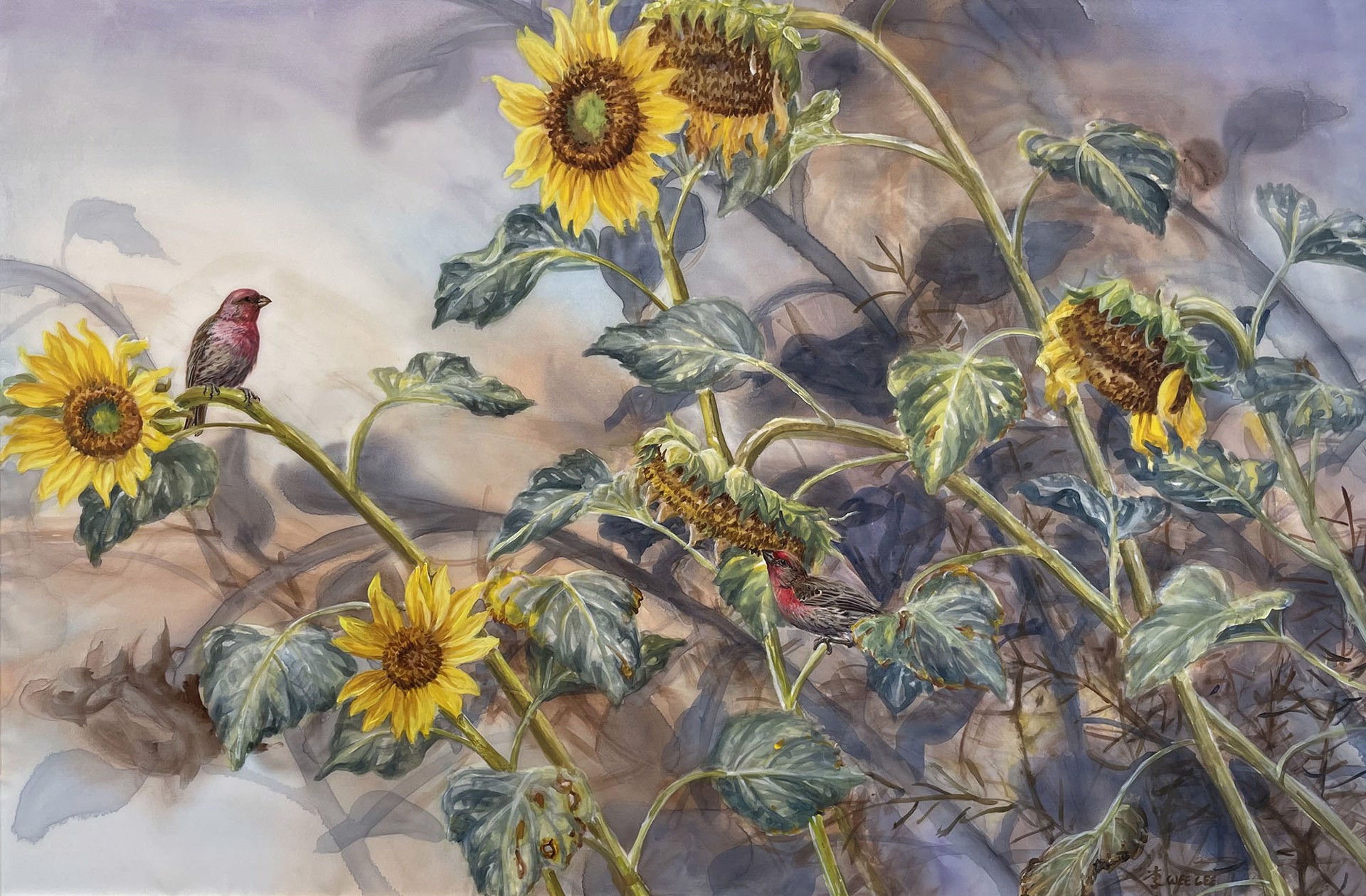 Sunflower Field by Wee Lee -