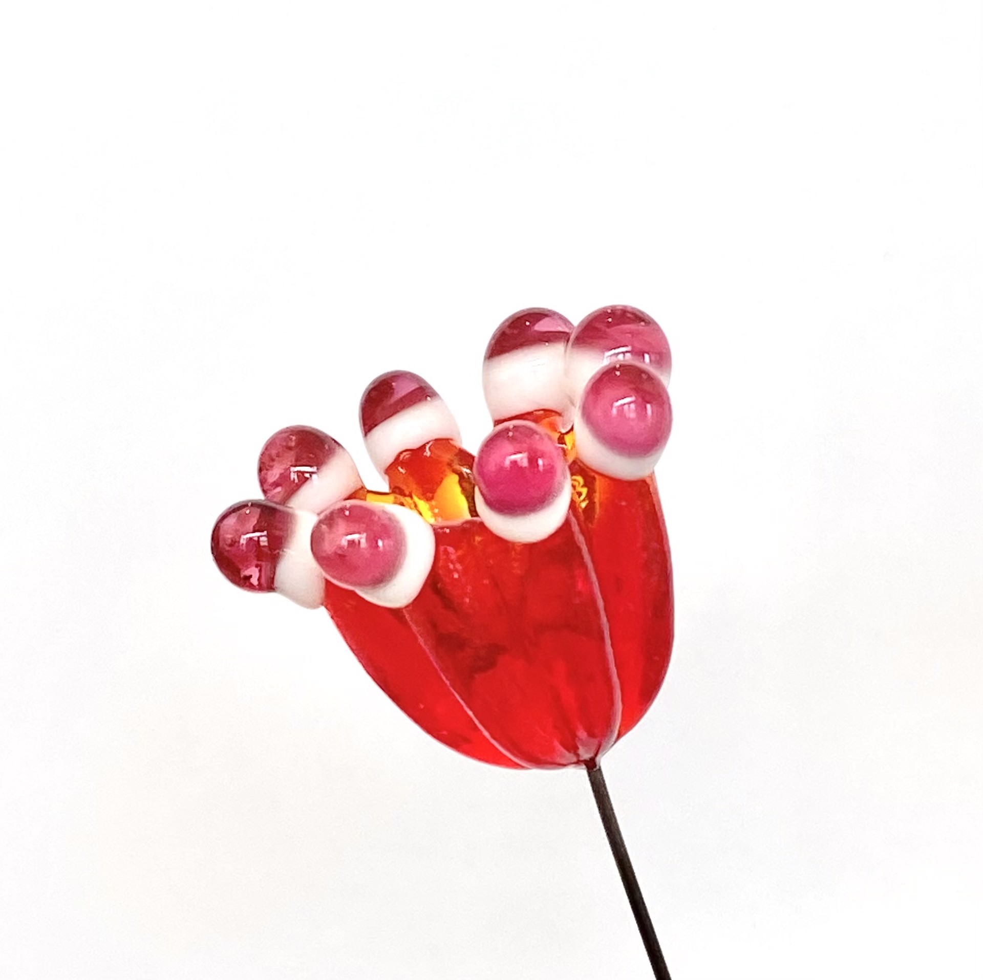 Glass Red Dotted Flower by Emelie Hebert