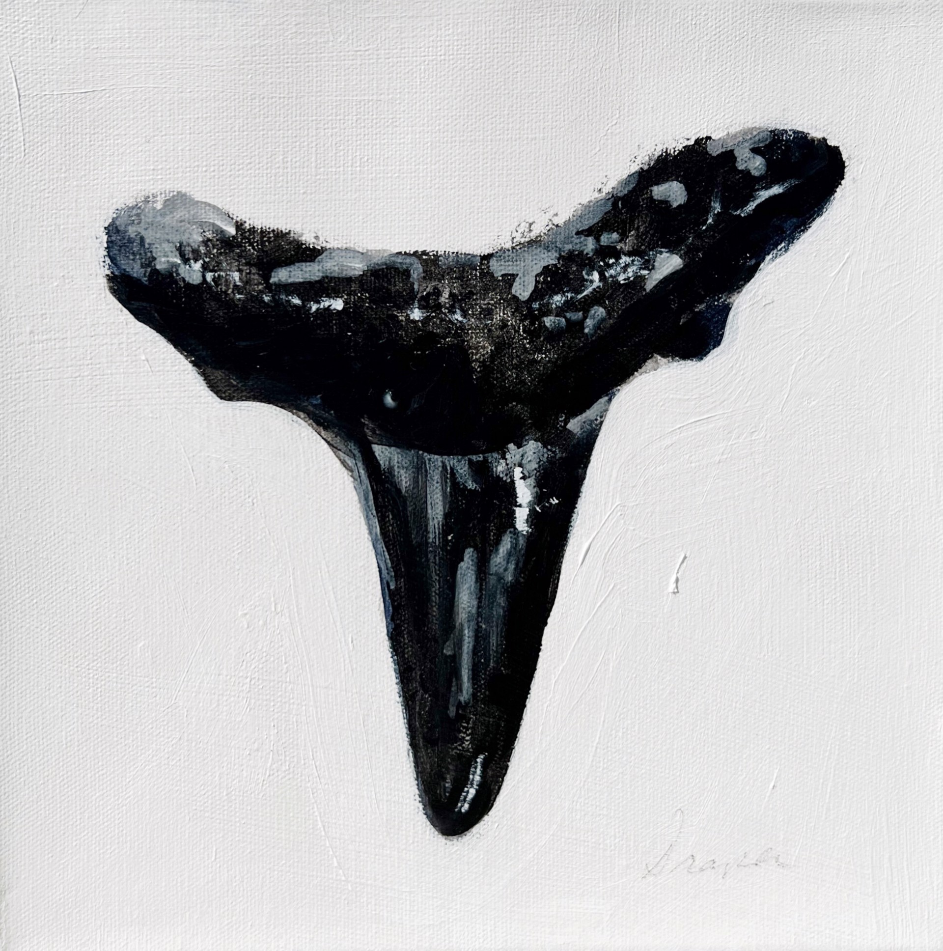 Shark Tooth No. 21 by Jim Draper