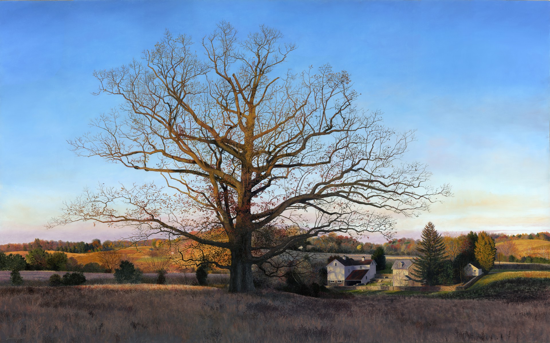 Clenny Oak by Timothy Barr