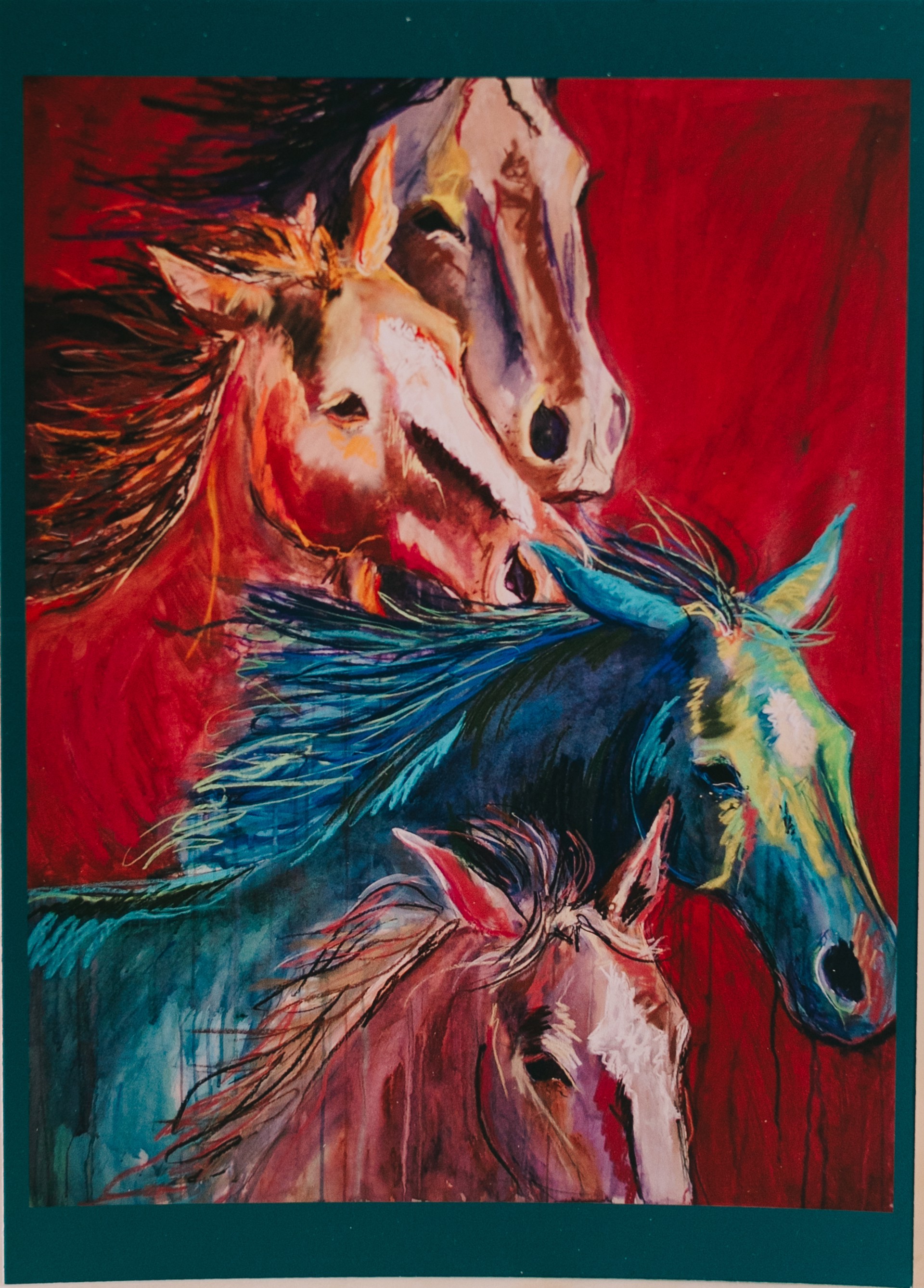 Horse Herd Postcard by Jennifer Cocoma Hustis
