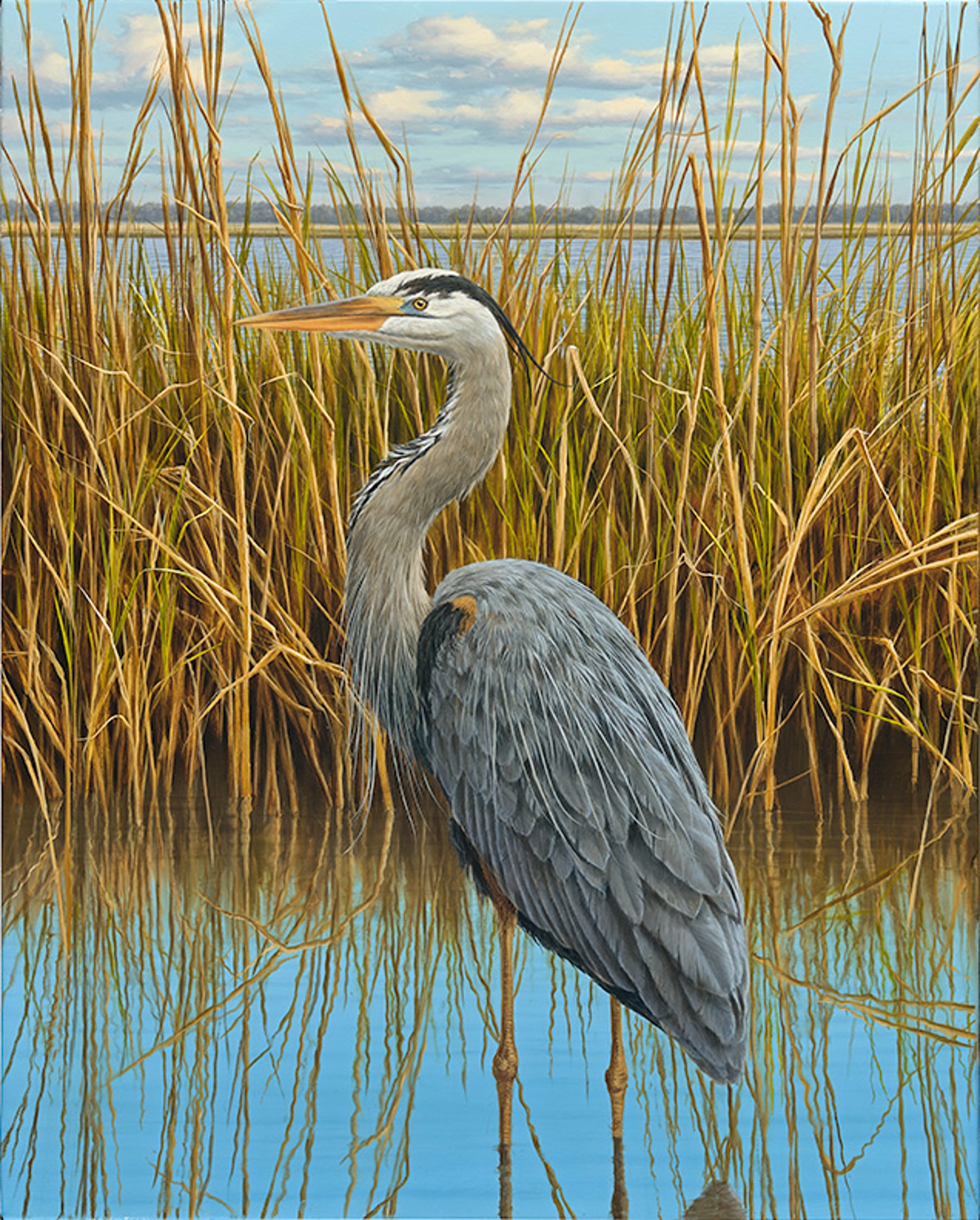 Blue Heron by HENRY VON GENK III