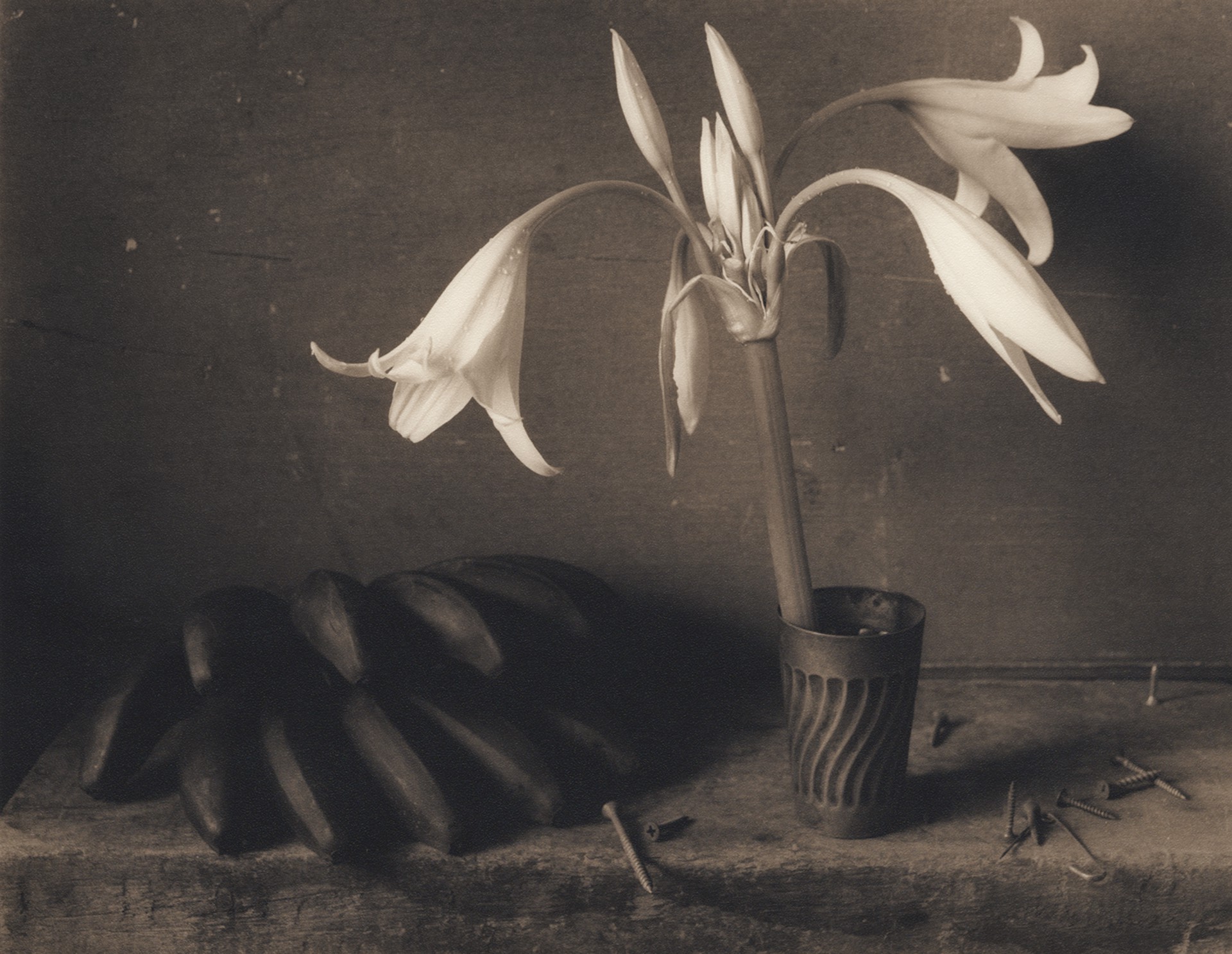 Lilies and Plantains by David Halliday