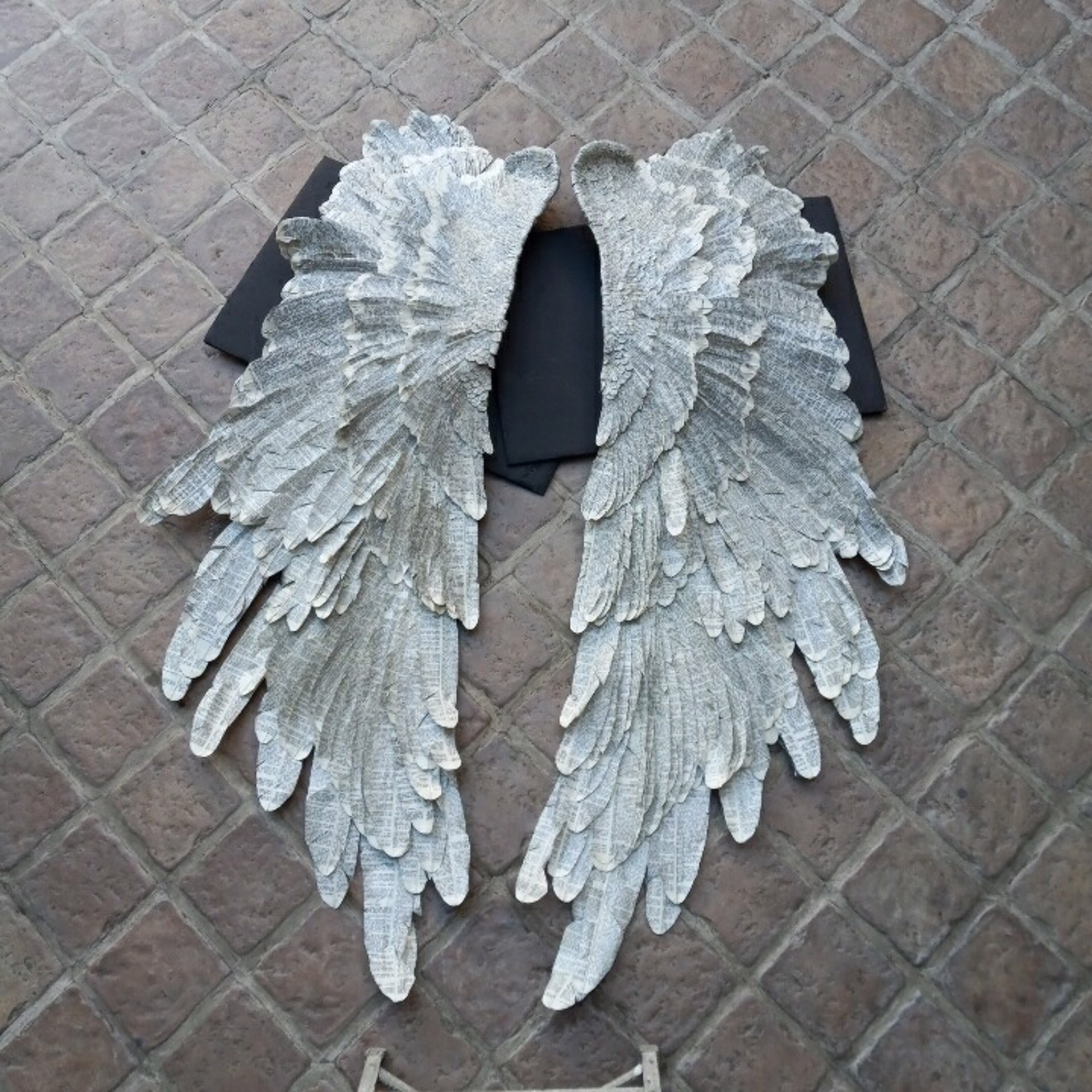 Wings by Susan Hannon
