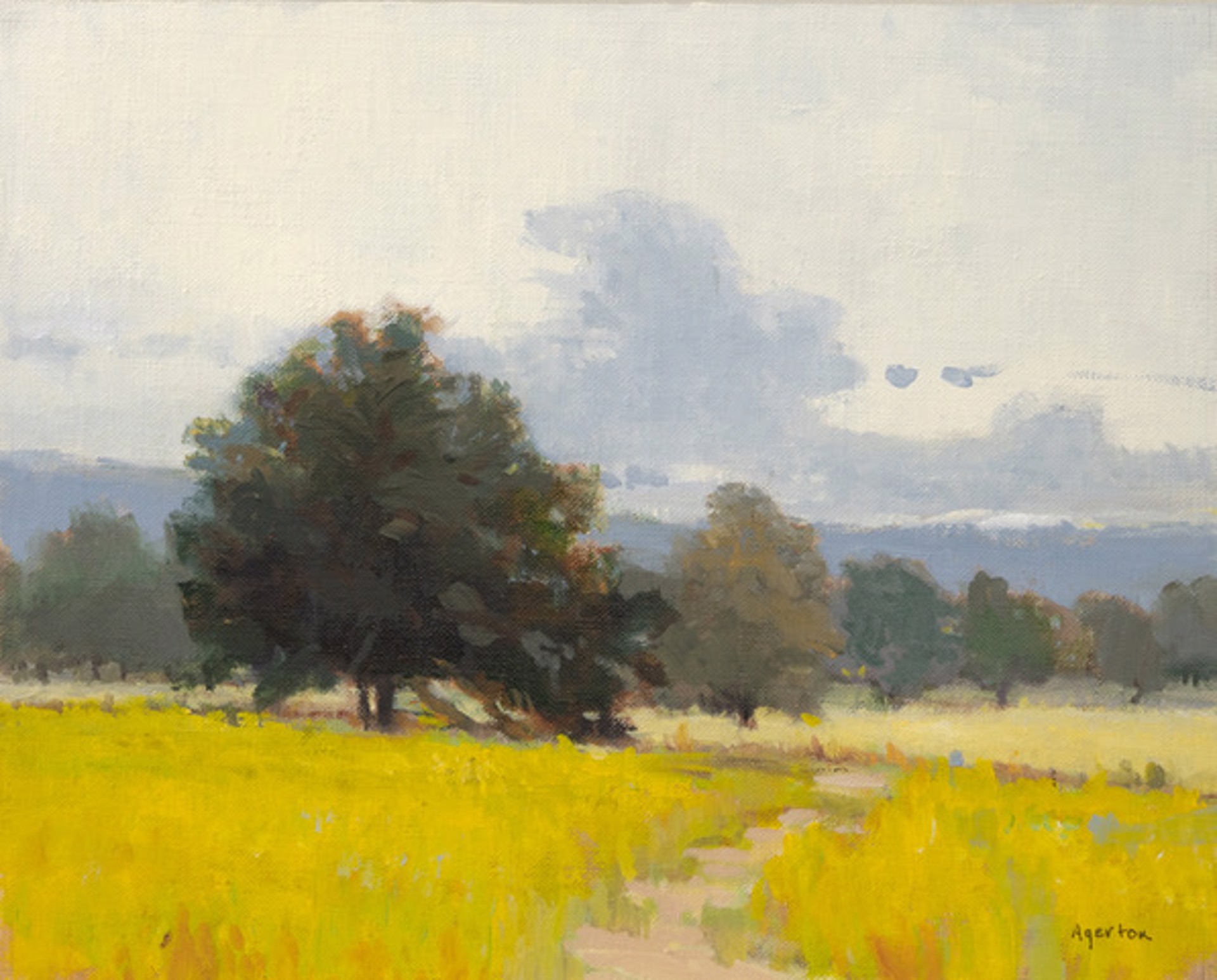 Golden Field by Mallory Agerton