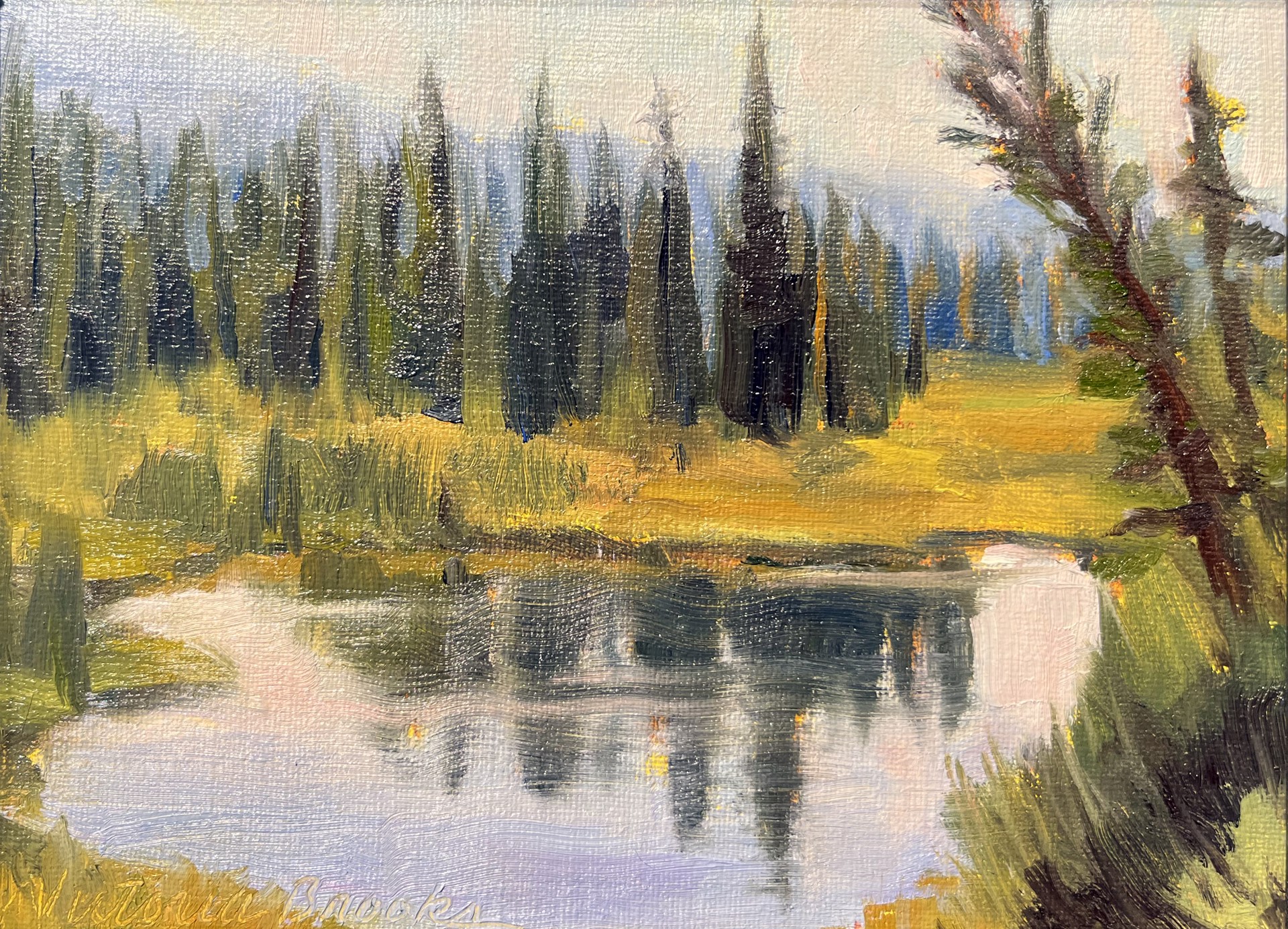 Moose Pond by Victoria Brooks