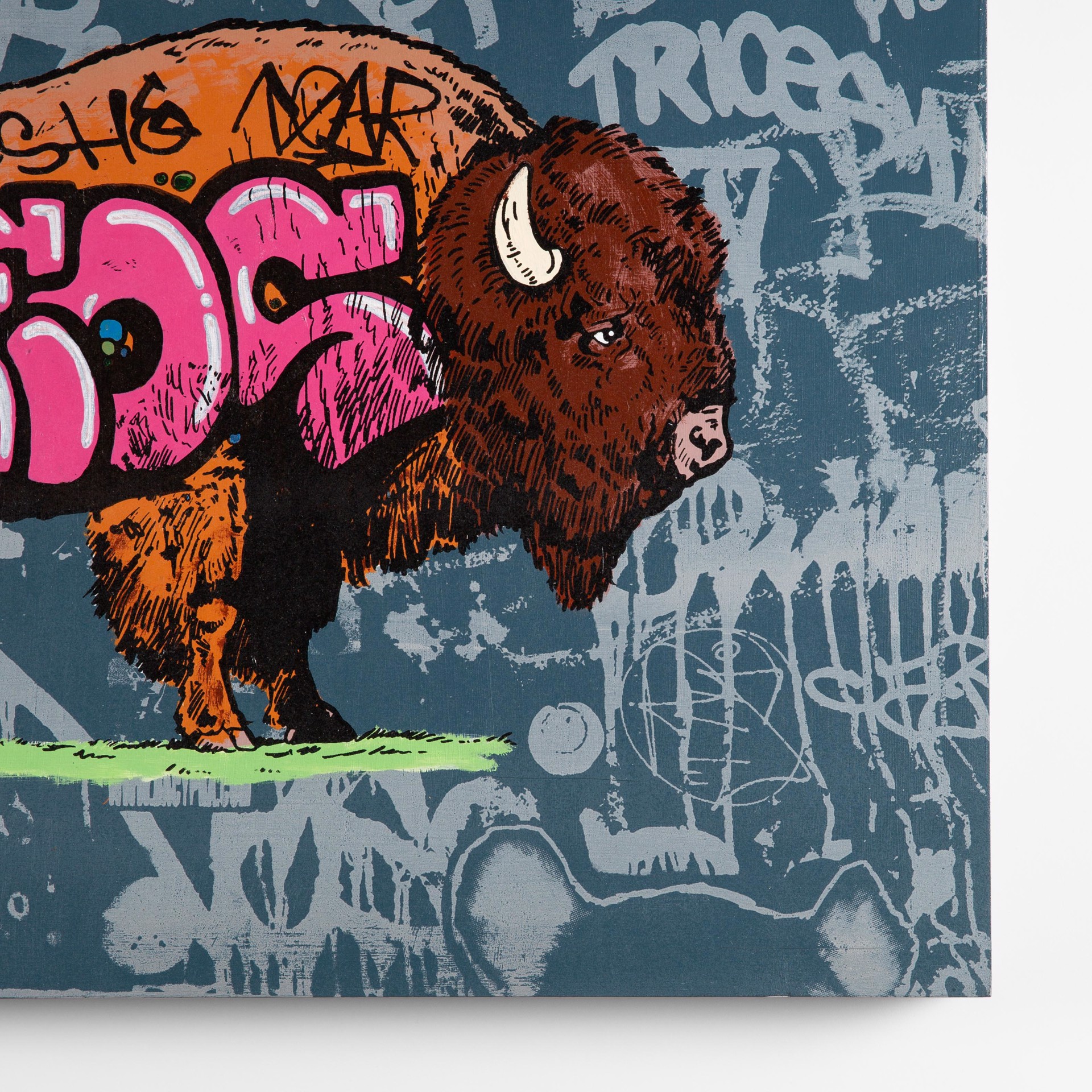 Buffalo Graffiti by Whatisadam