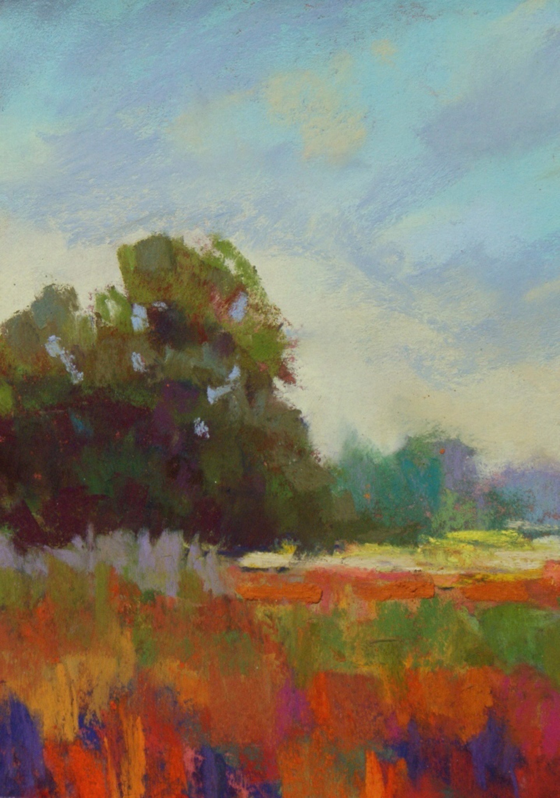 Morning Marsh by Virginia Dauth