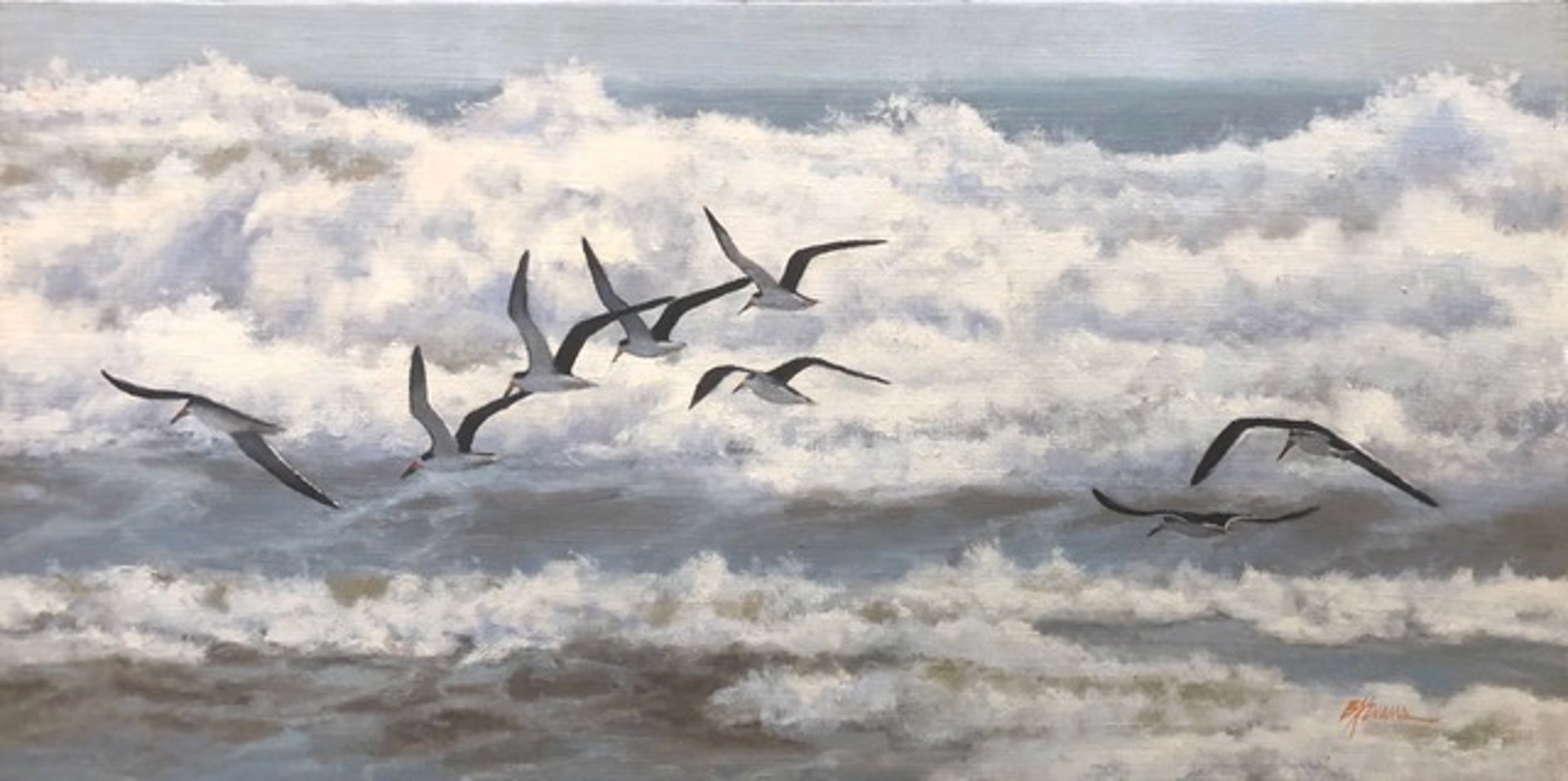 Black Skimmers by Beverly Ford Evans