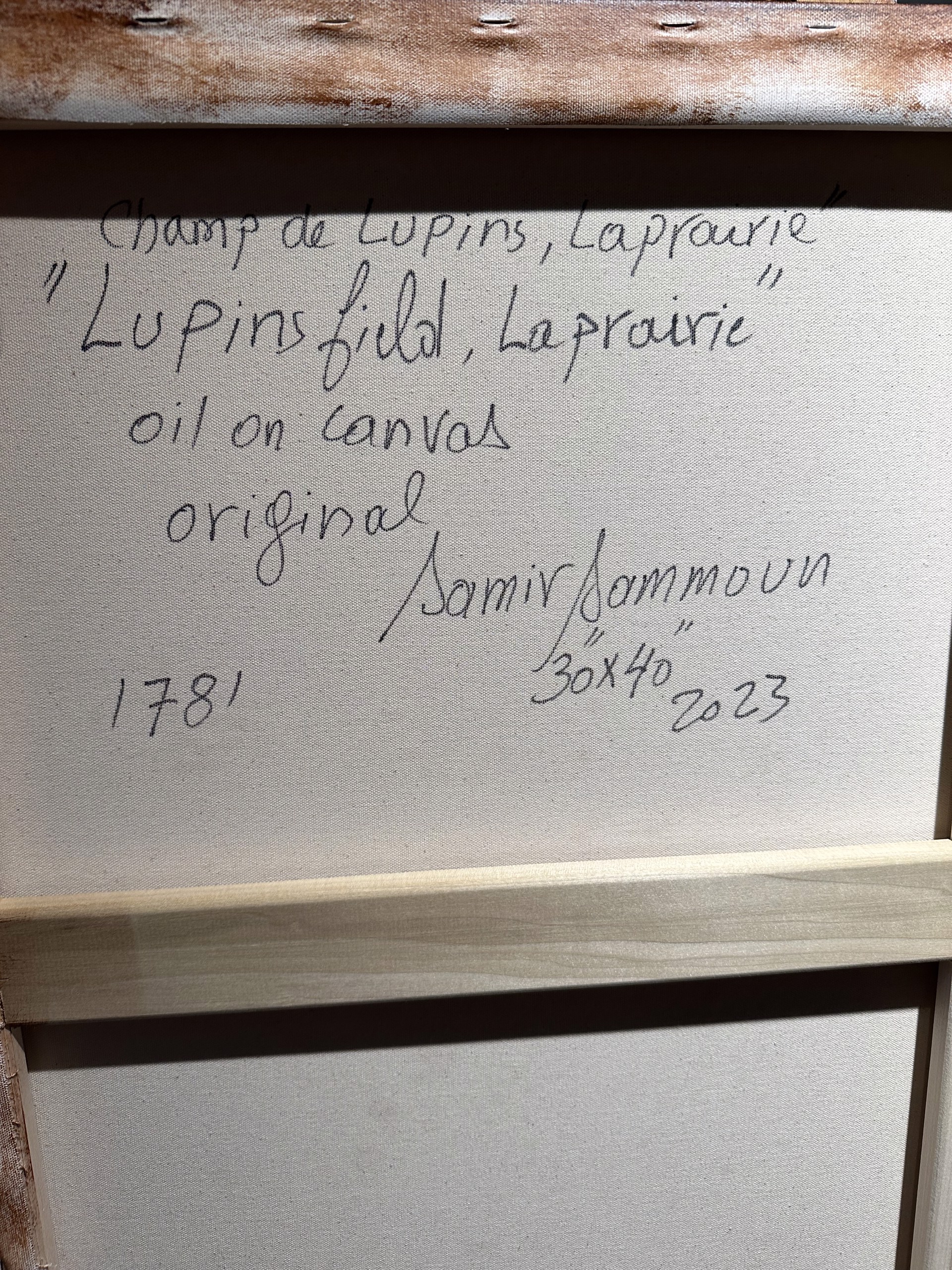Champ de lupins, Laprairie, Lupins field, Laprairie by Samir Sammoun