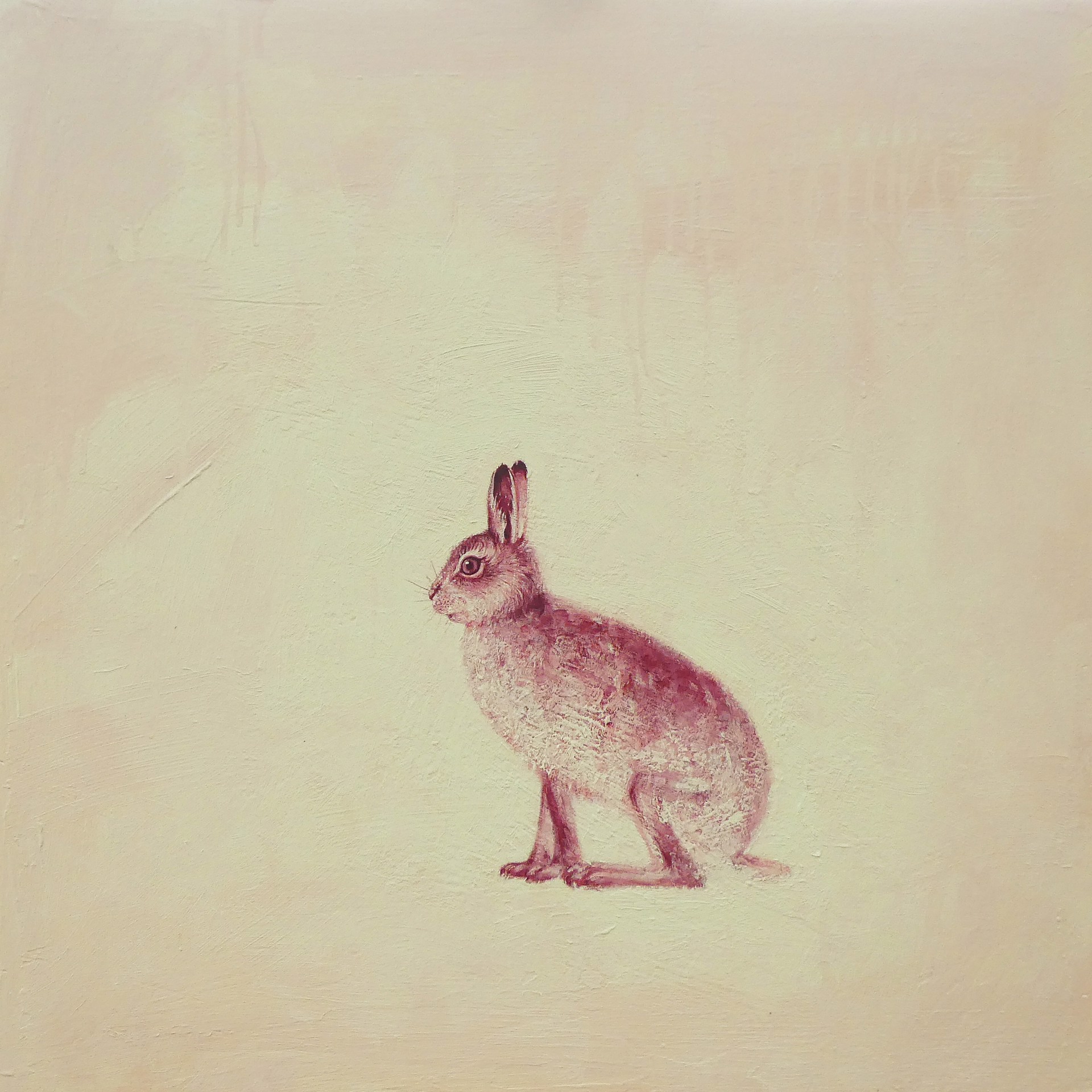 Hare Here, Her Hair by Michael Cassidy