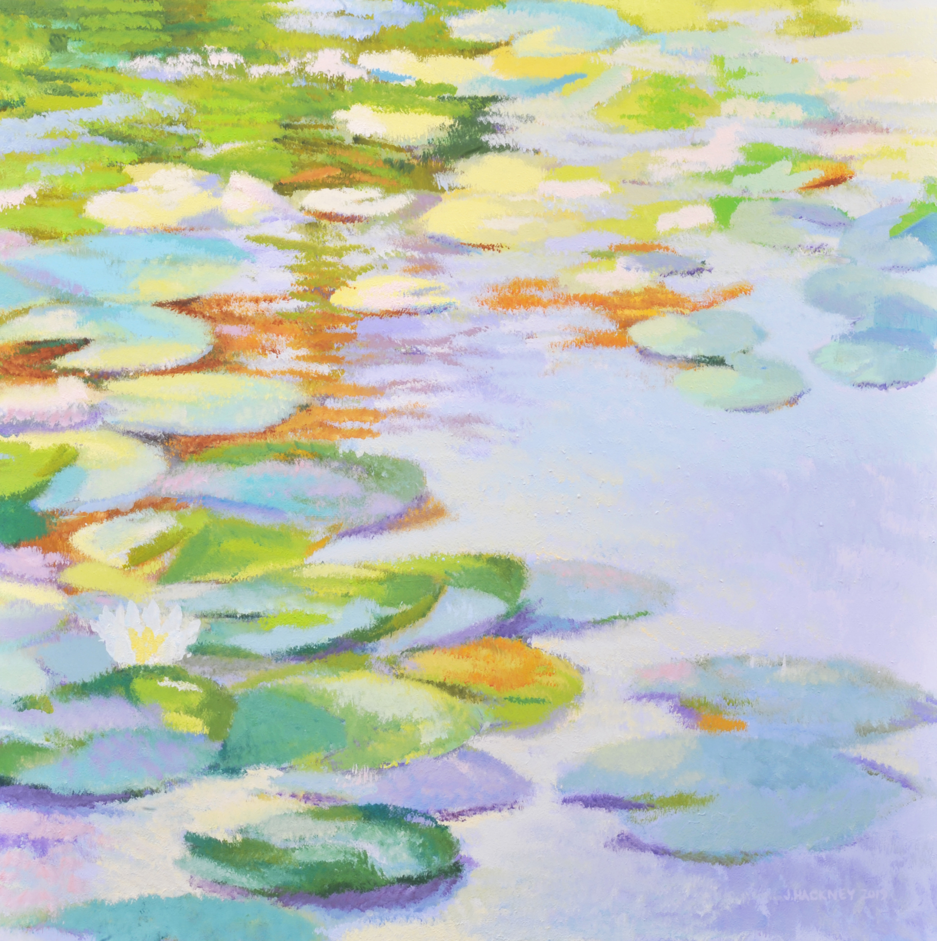 Water Lily by Jill Hackney