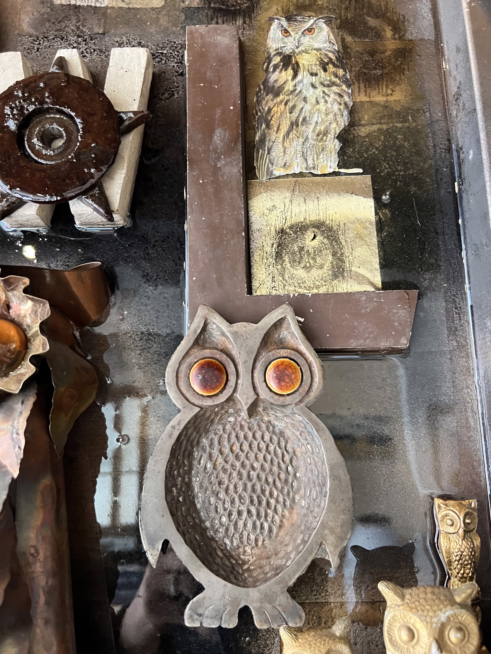 Night Owl by Emily Blaschke