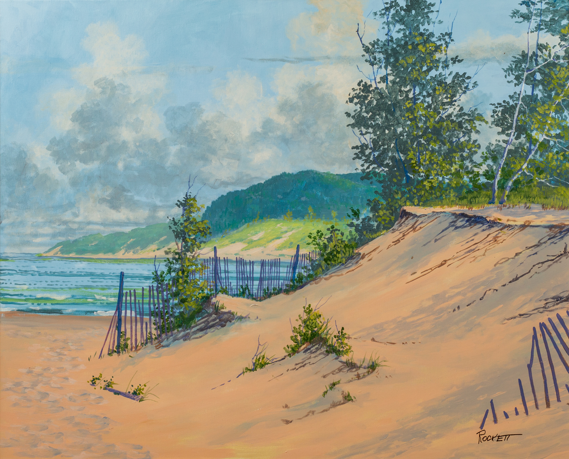 Dune Fences by Jeanne Rockett