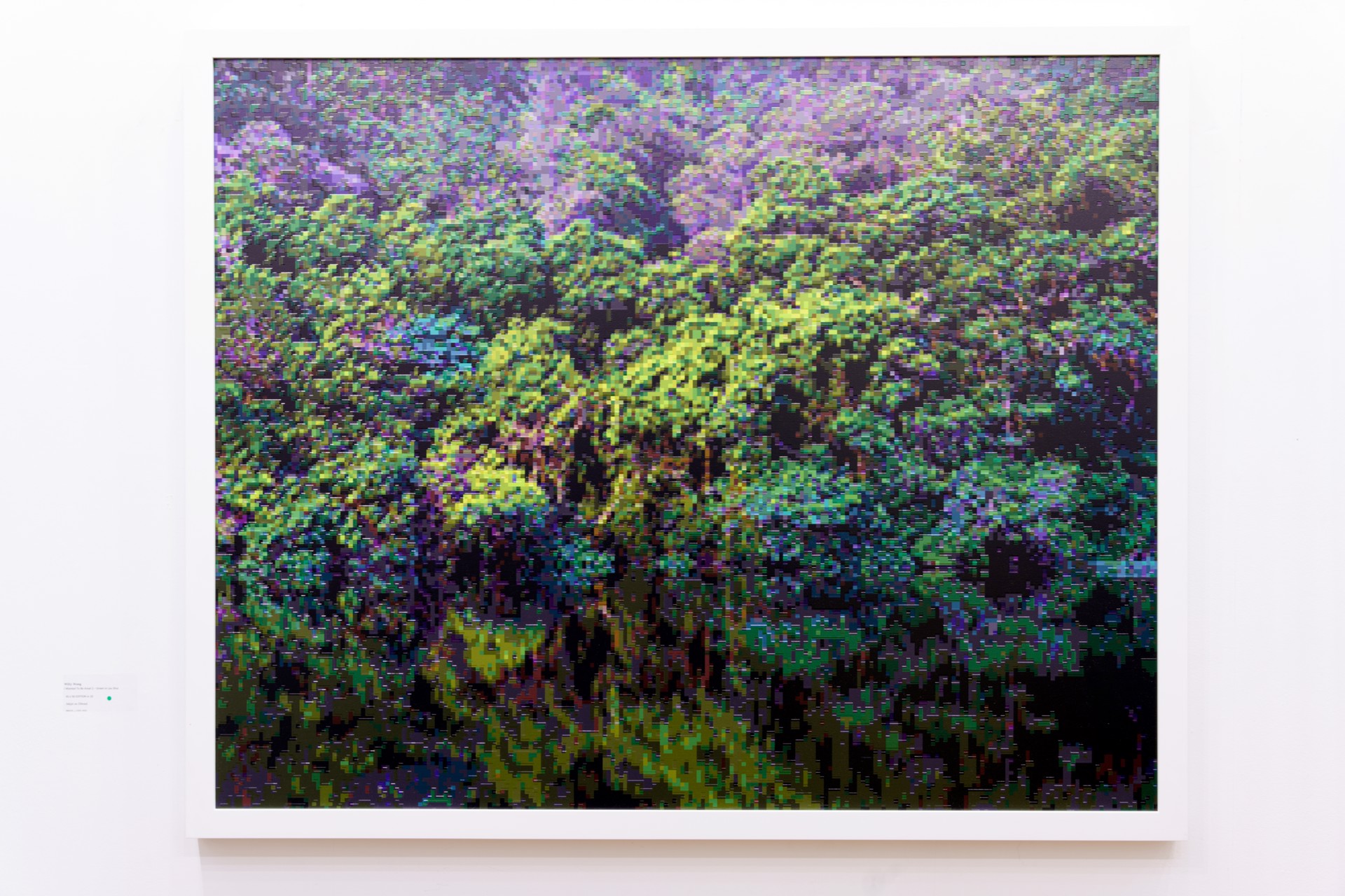 I Wanted To Be Ansel 2 – Green in Lau Shui Hong Kong by Willy Wong