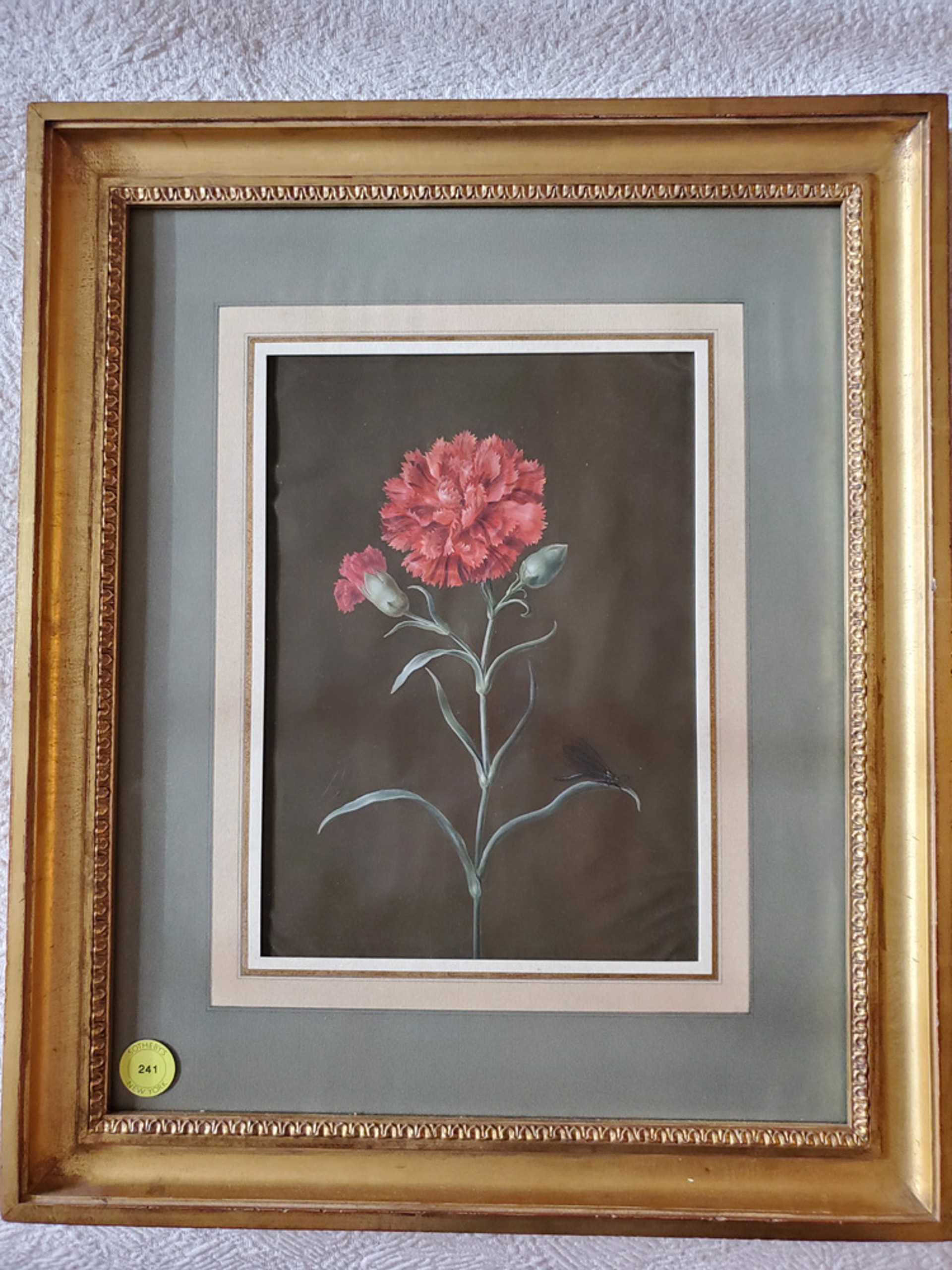 A Carnation with Fly by Margaretha Barbara Dietzsch