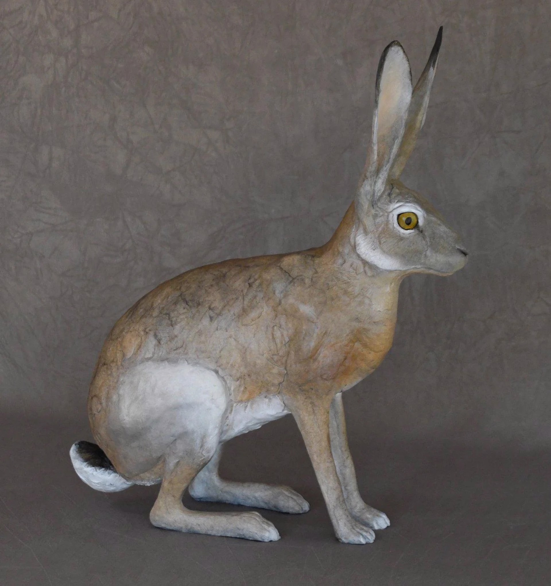 Jack Rabbit VI by Jim Eppler