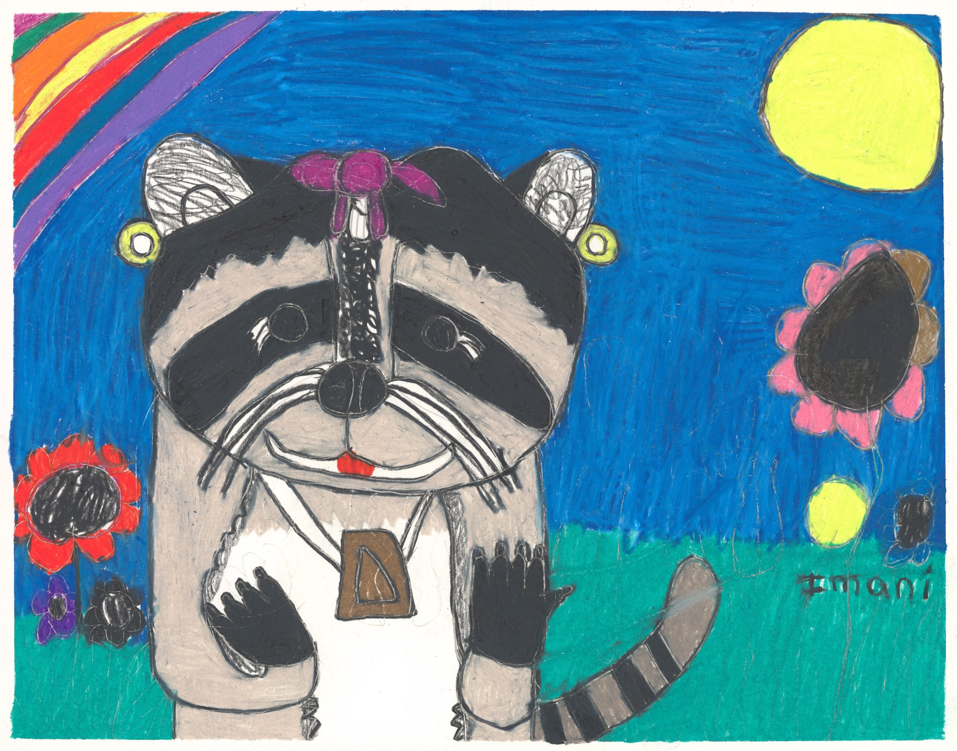 Happy Raccoon by Imani Turner