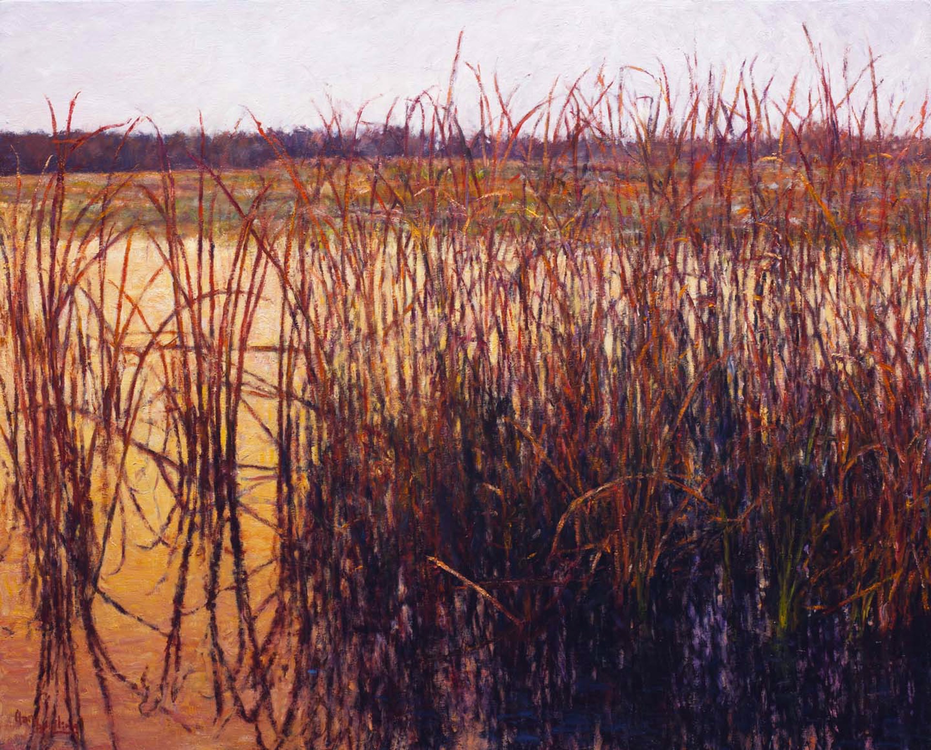 Reeds on a Yellow Marsh in August by Gary Bowling