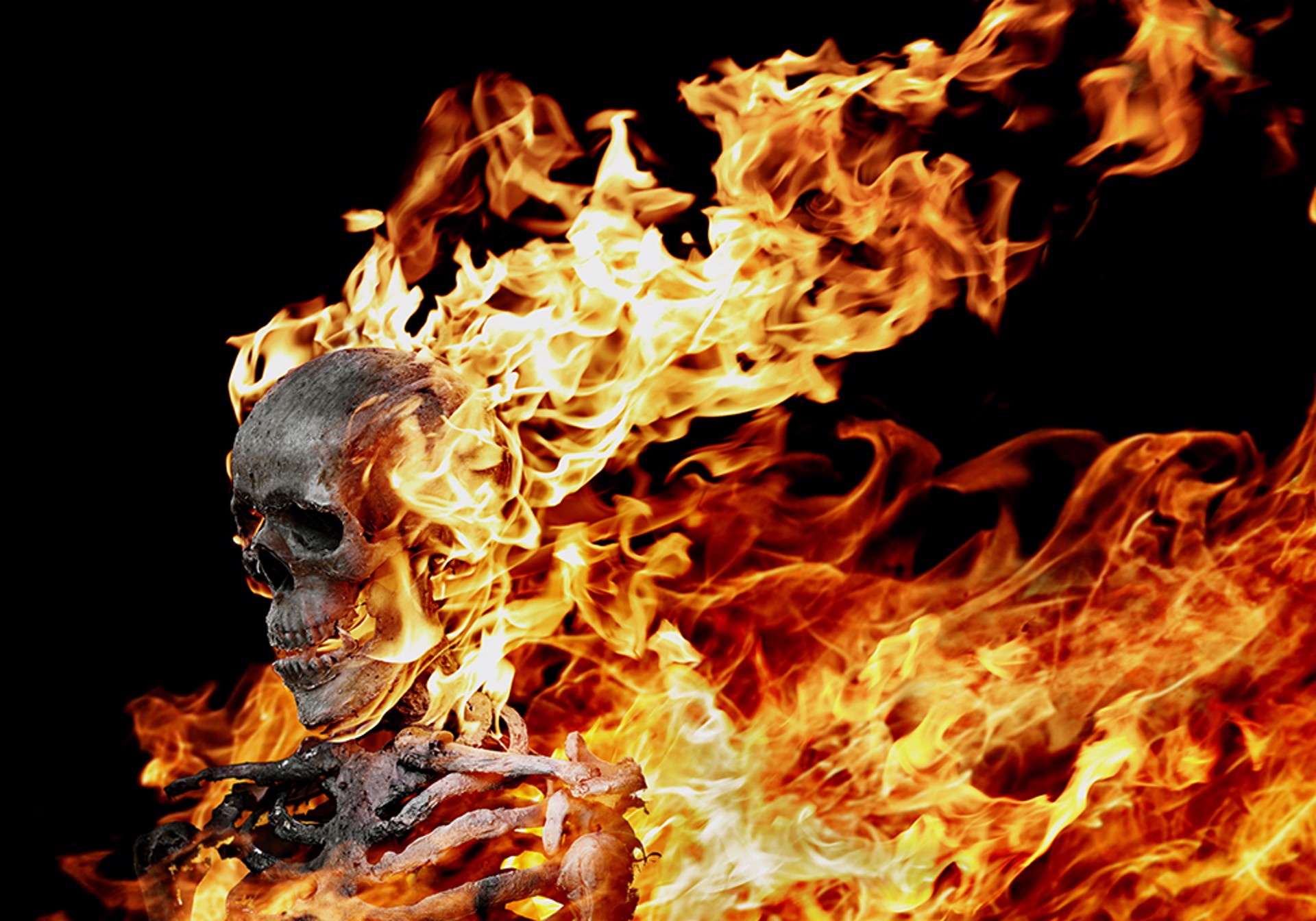 12011 Flaming Skull Mr. Bones Color by Timothy White