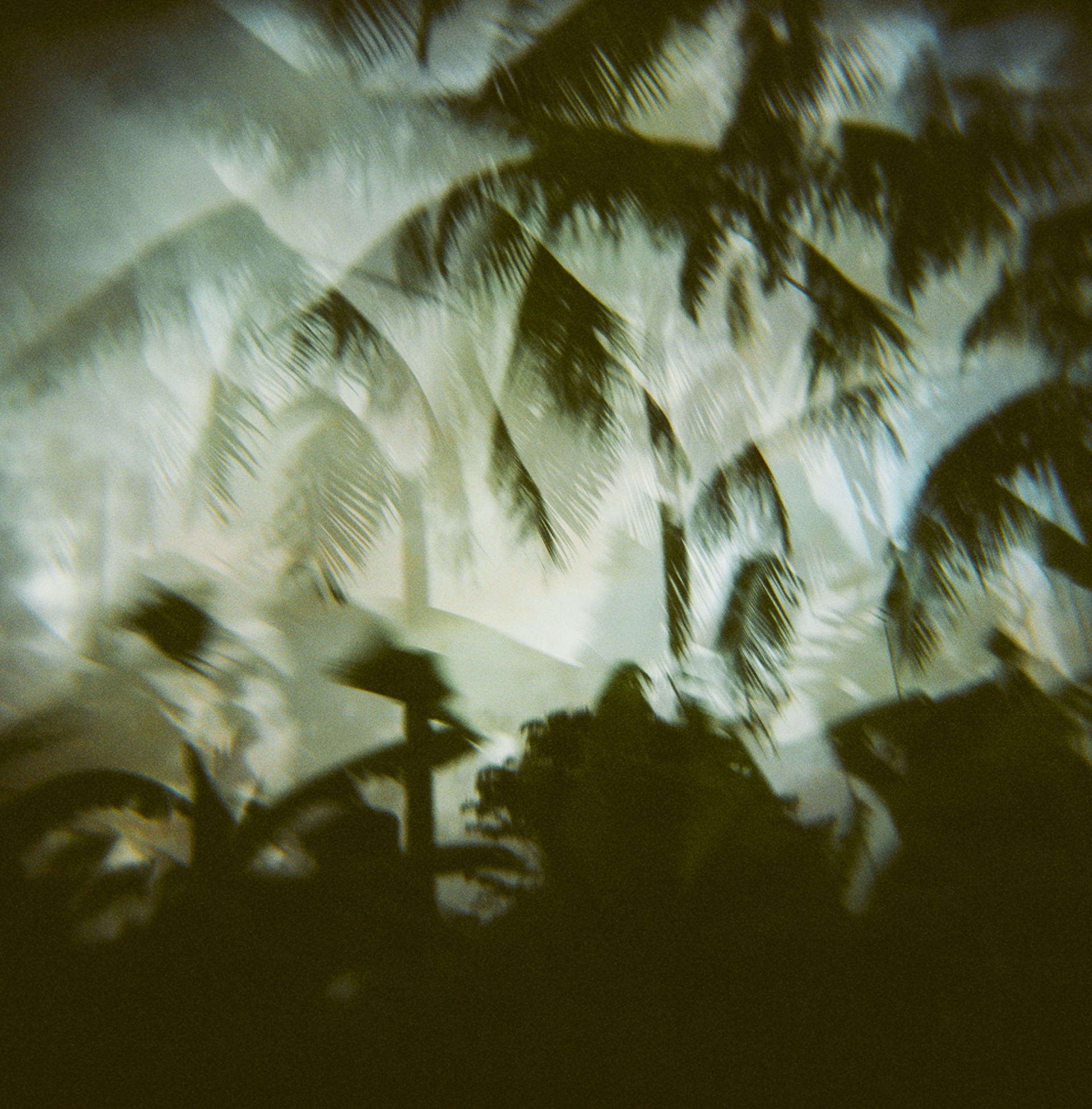 The Car Ride in Bali by Megan Senior