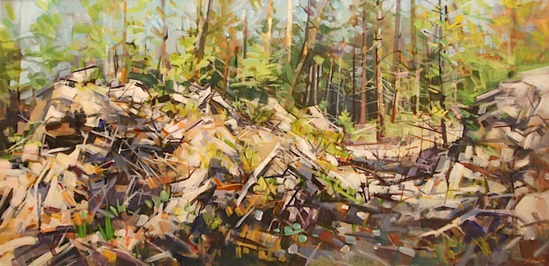 Rocky Forest Edge by Jim Vest