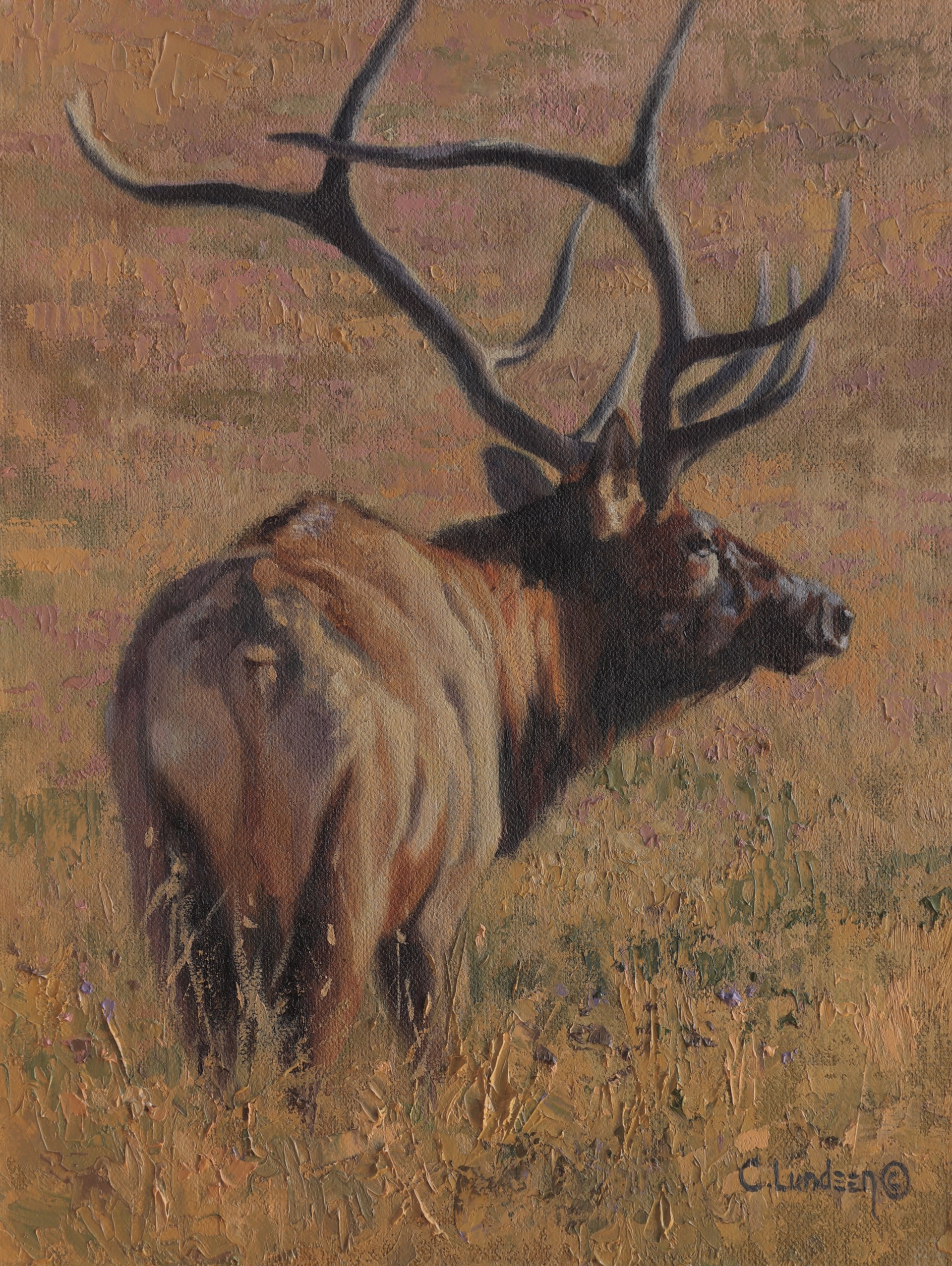 Season of Splendor - Bull Elk by Carol Lundeen