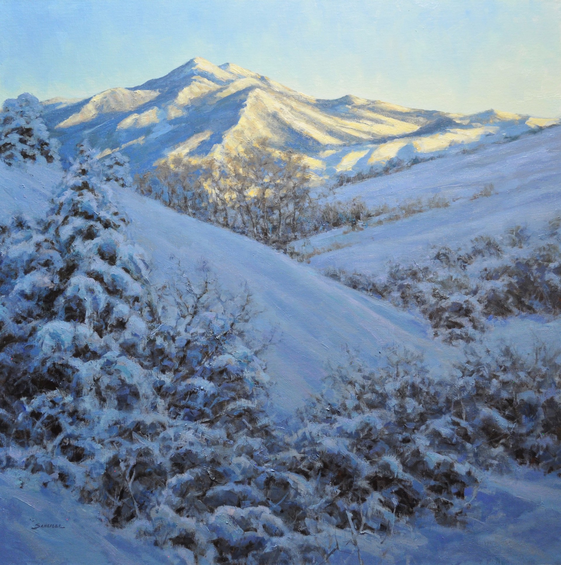 FRESH SNOW by Greg Scheibel