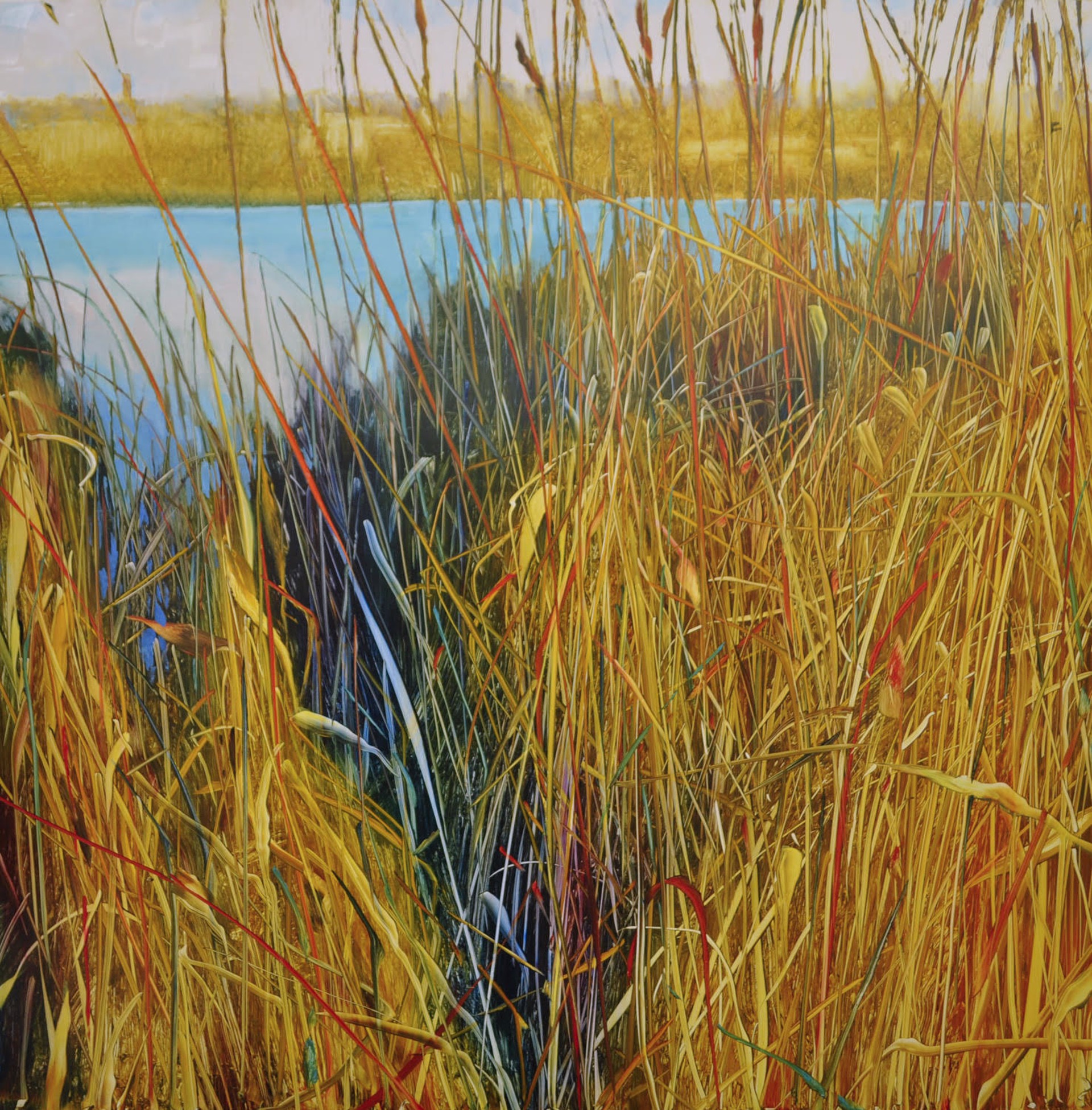 Between the Reeds by David Dunlop