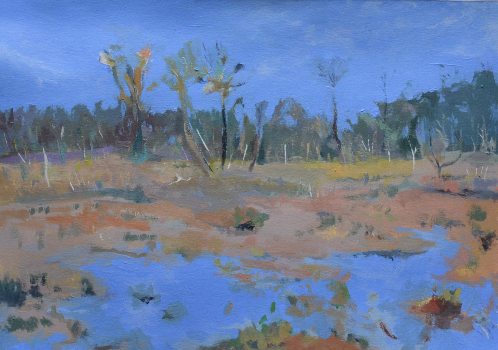 Wetlands in Ultramarine  by Olivia Perreault