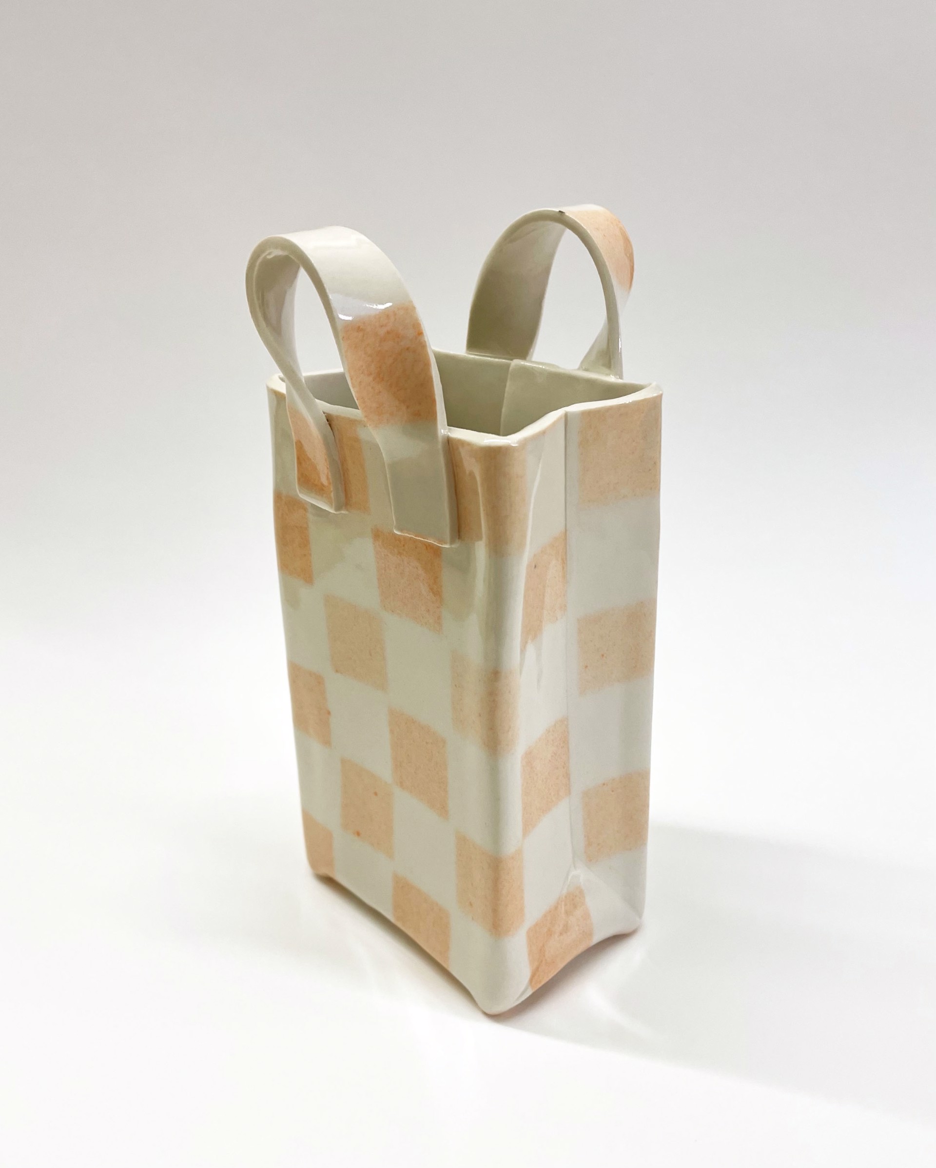 Checkered Bag by Chandra Beadleston