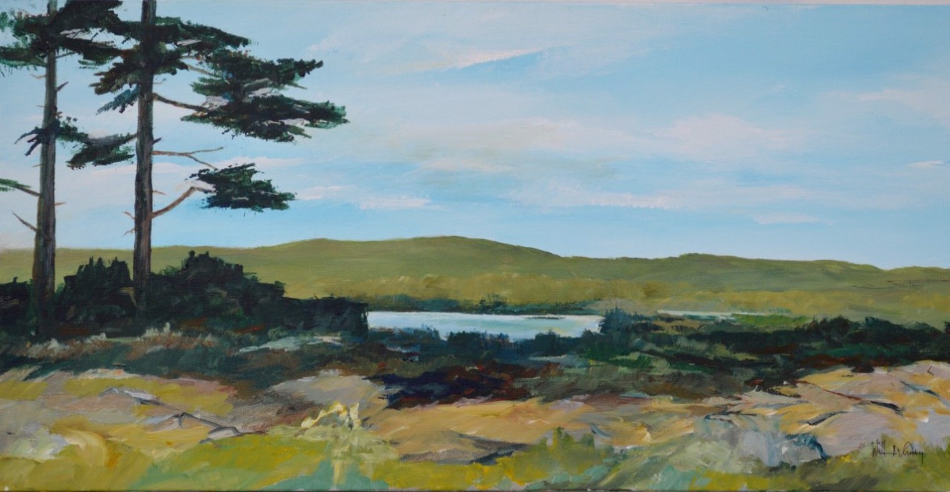 View From Surry Hill-Echo Lake by William Crosby - Small Works