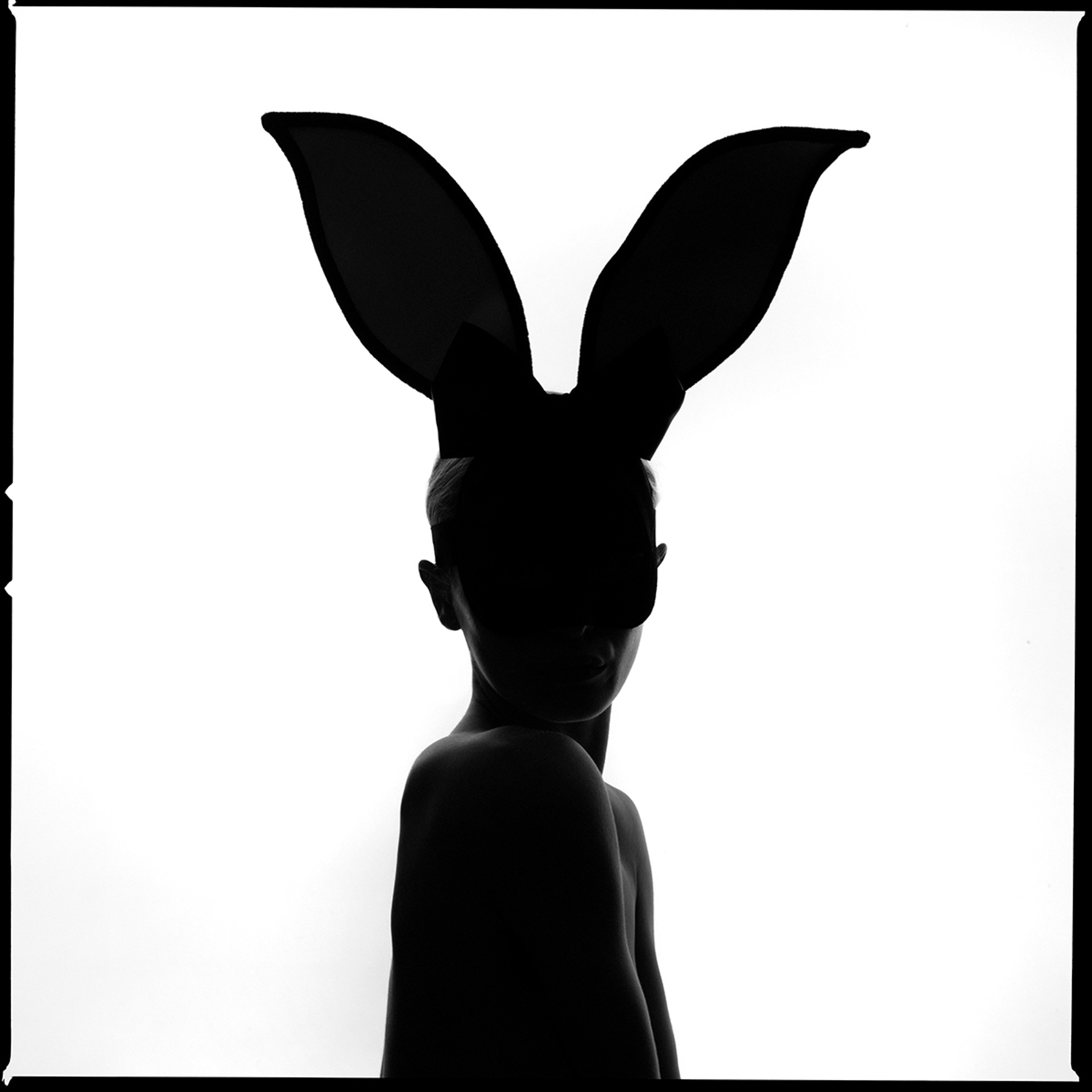 Bunny Silhouette by Tyler Shields