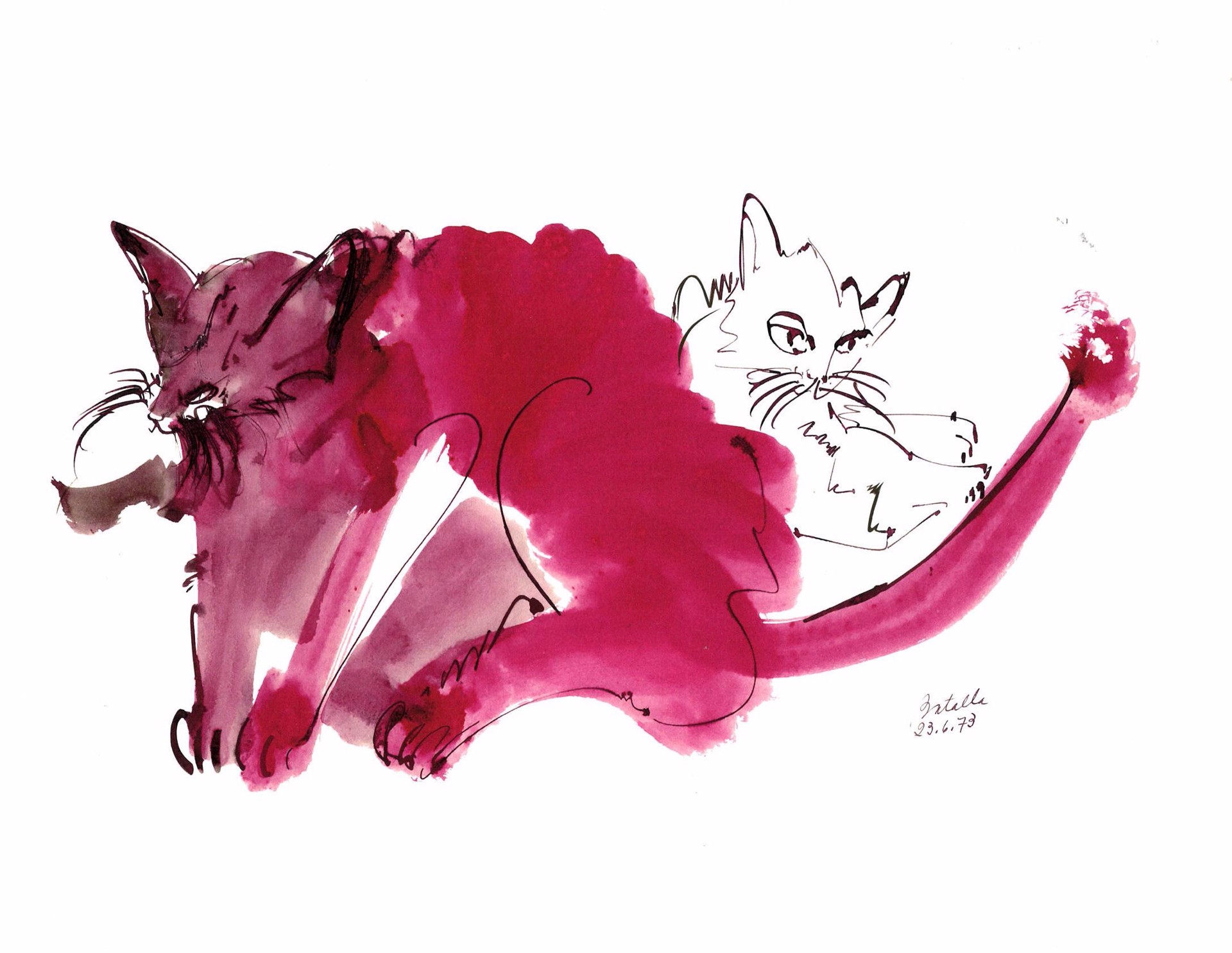 Cat Ink Series 3 by Miguel Angel Batalla