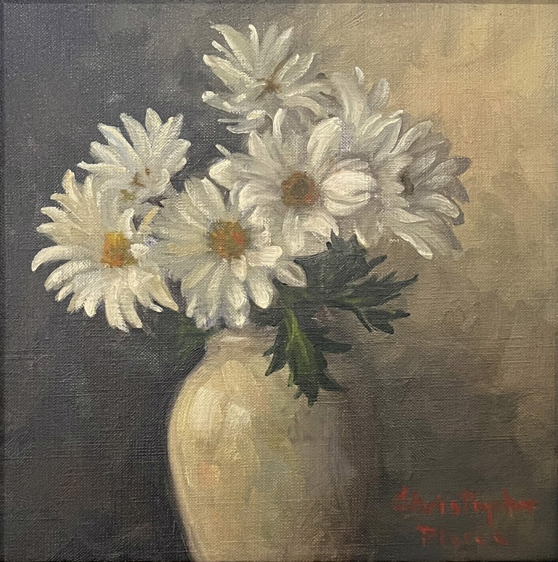 White Daisies by Christopher Pierce