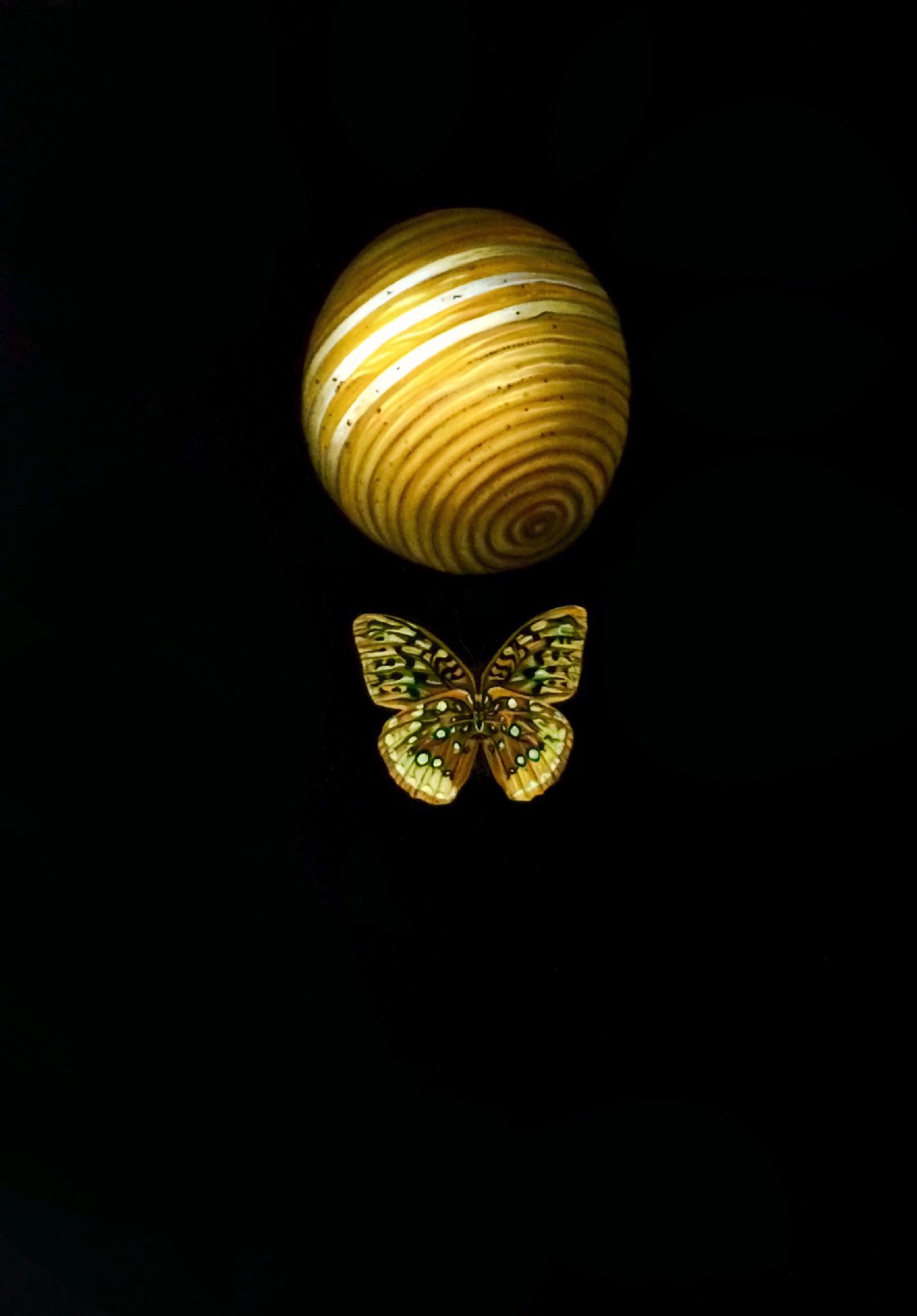 Yellow Moth Ball by Tilly Woodward