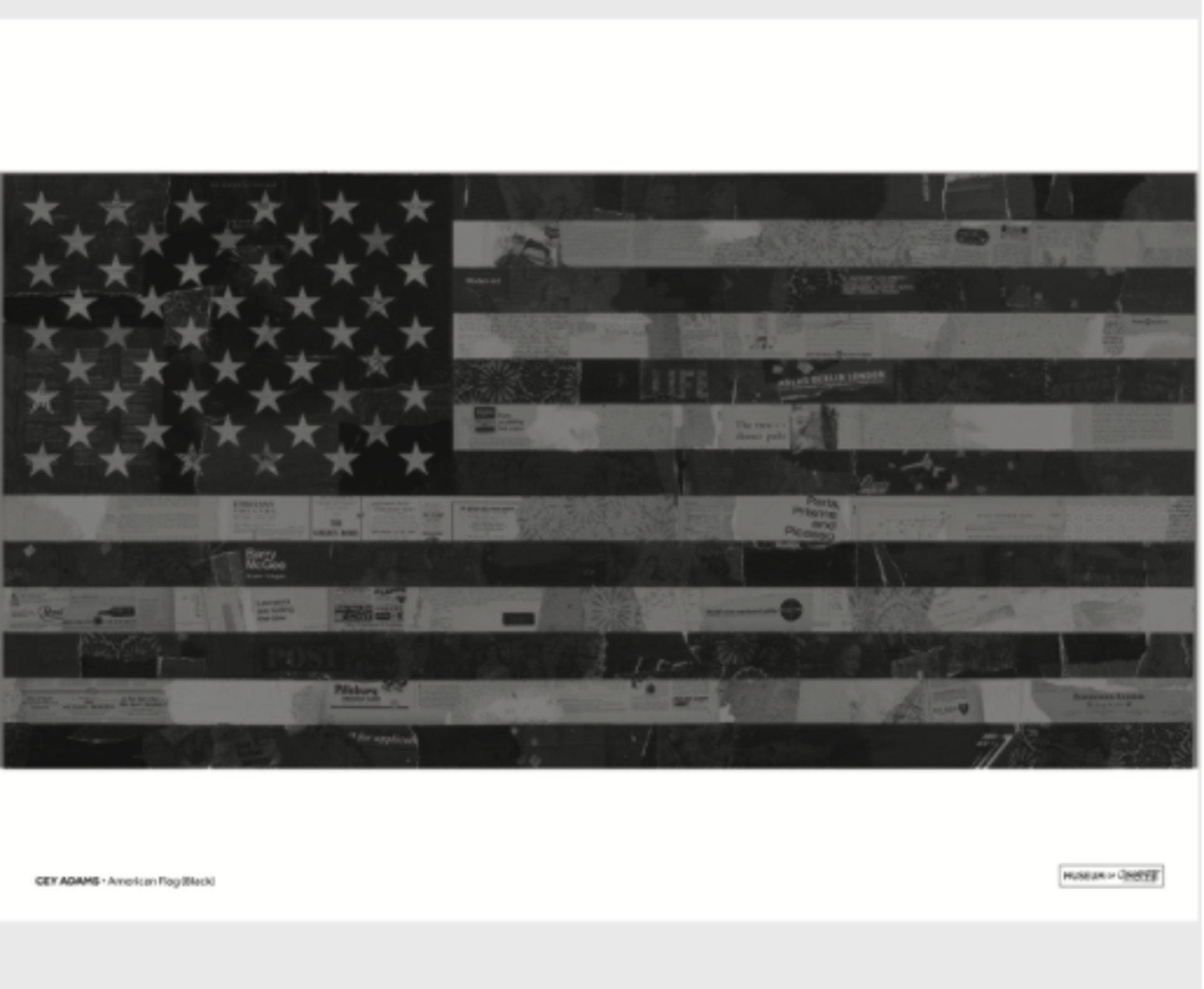Flag Poster in Black by Cey Adams
