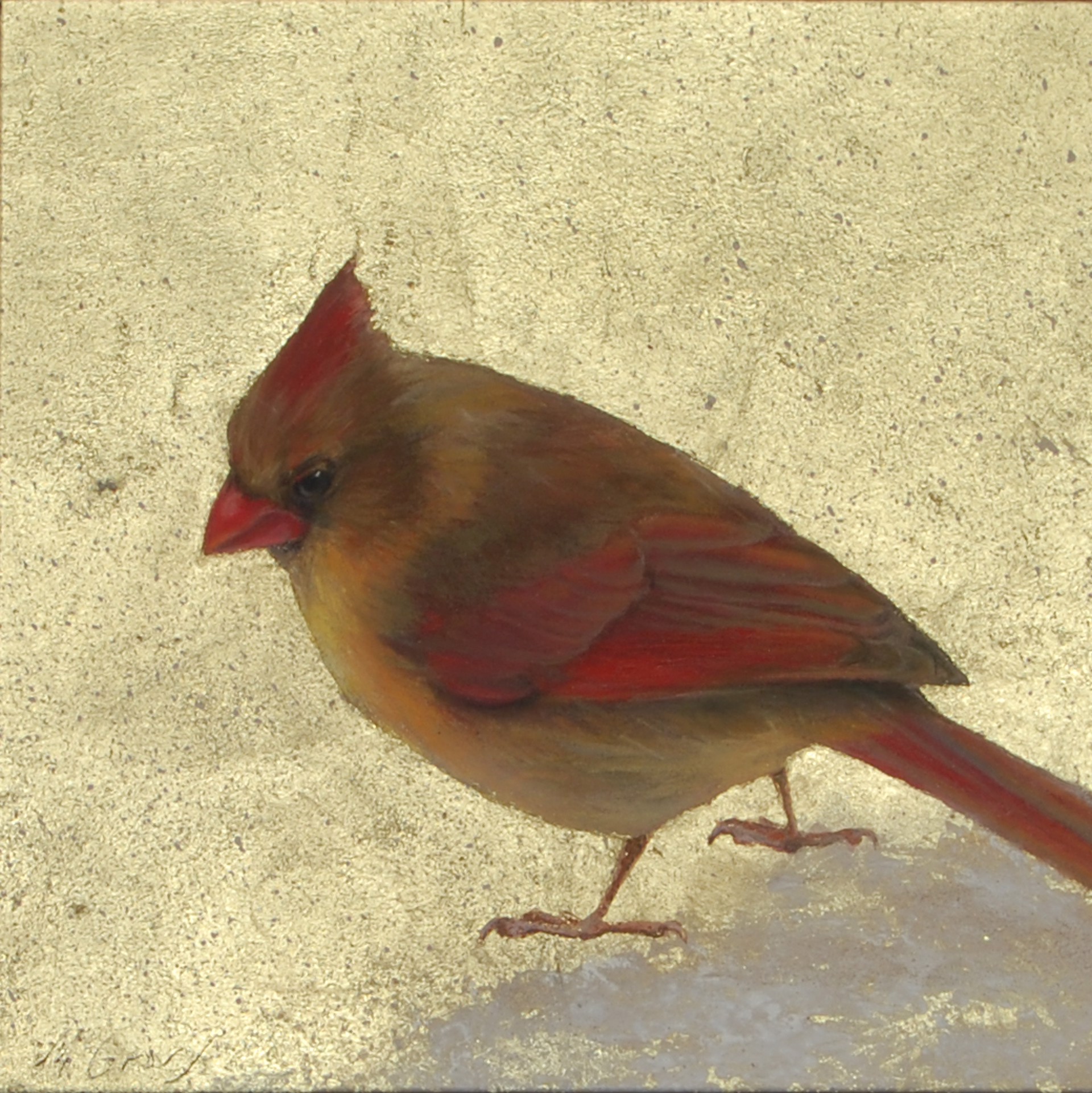 Winter Cardinal (female) by Anne McGrory