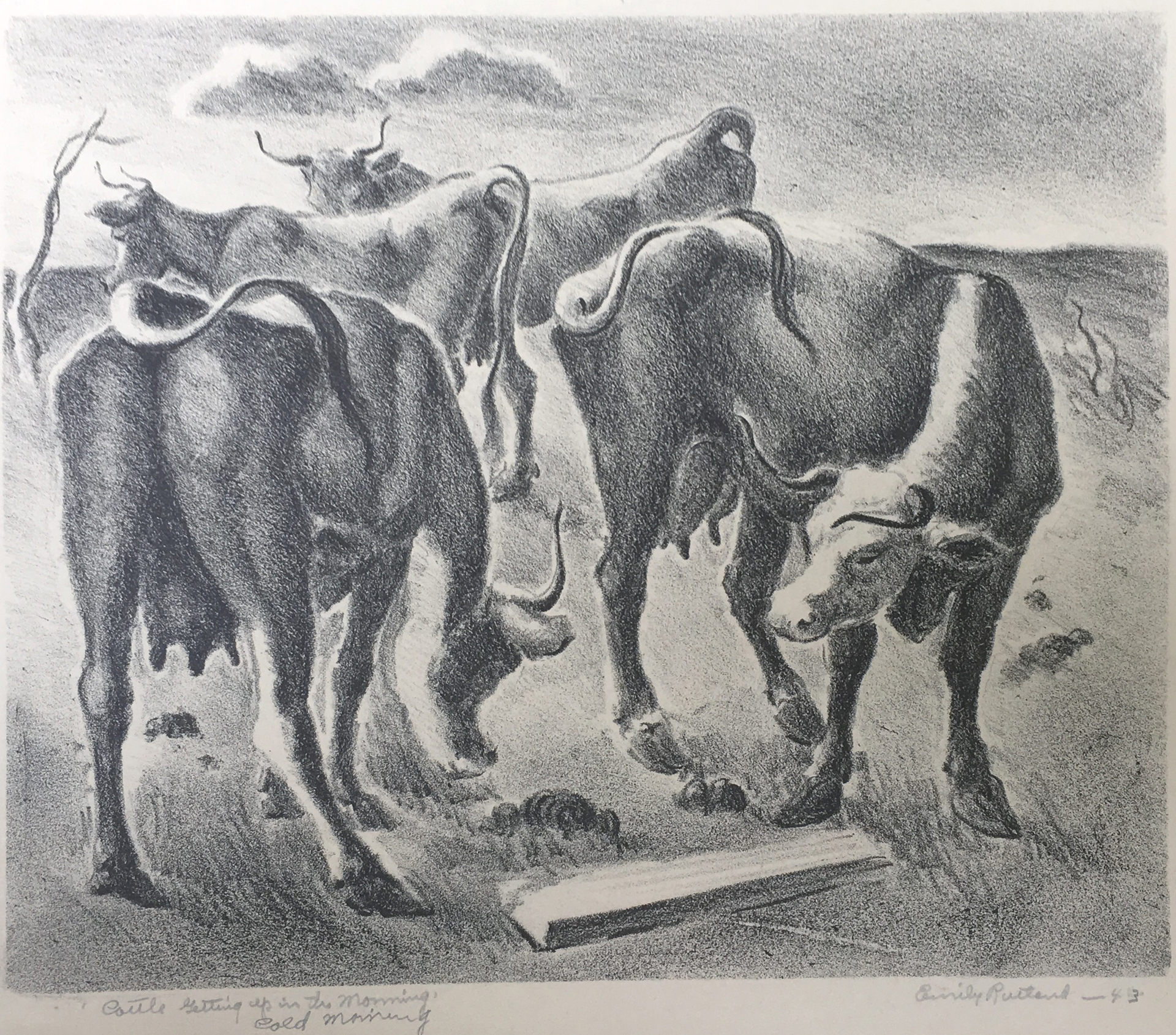 Cattle Getting Up, Cold Morning by Emily Rutland
