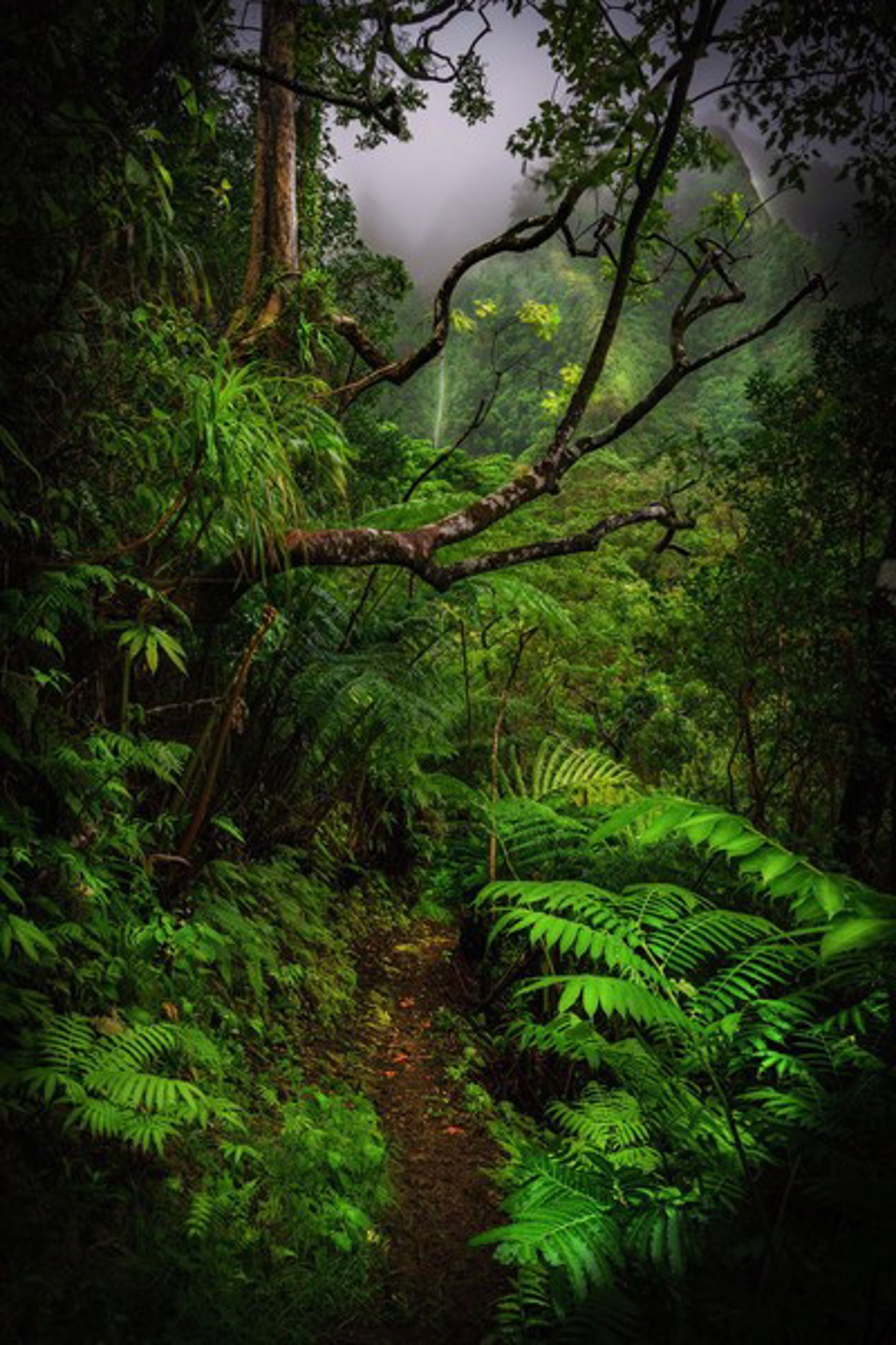 Maunawili Magic by Brian Wyland