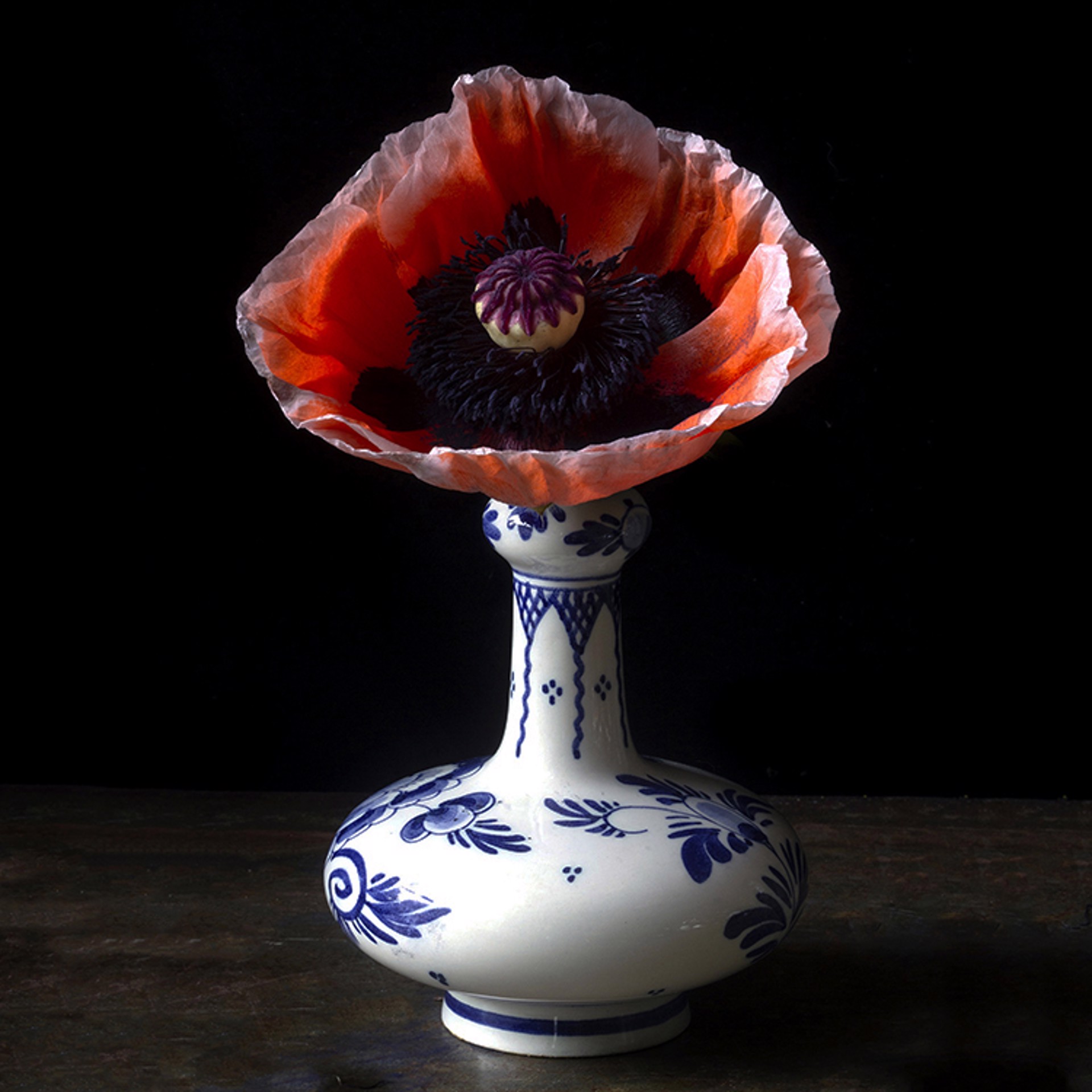 Vanitas with Faded Poppy, 2066 by Molly Wood
