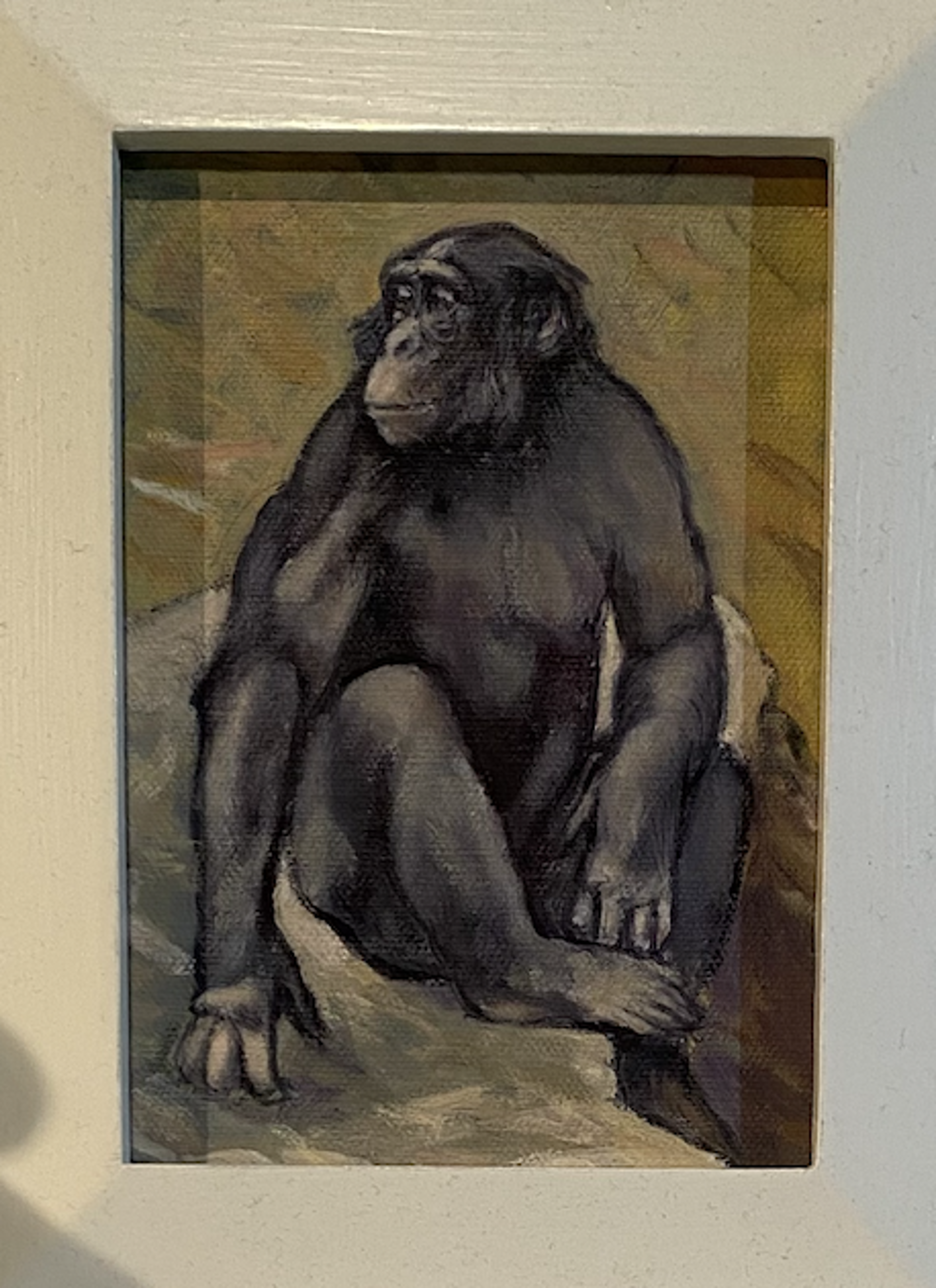 Bonobo Looking Right by David Yaghjian