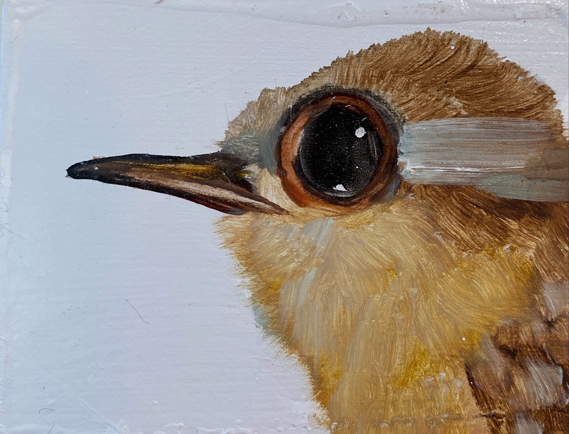 Bird Block (yellow ochre) by Diane Kilgore Condon