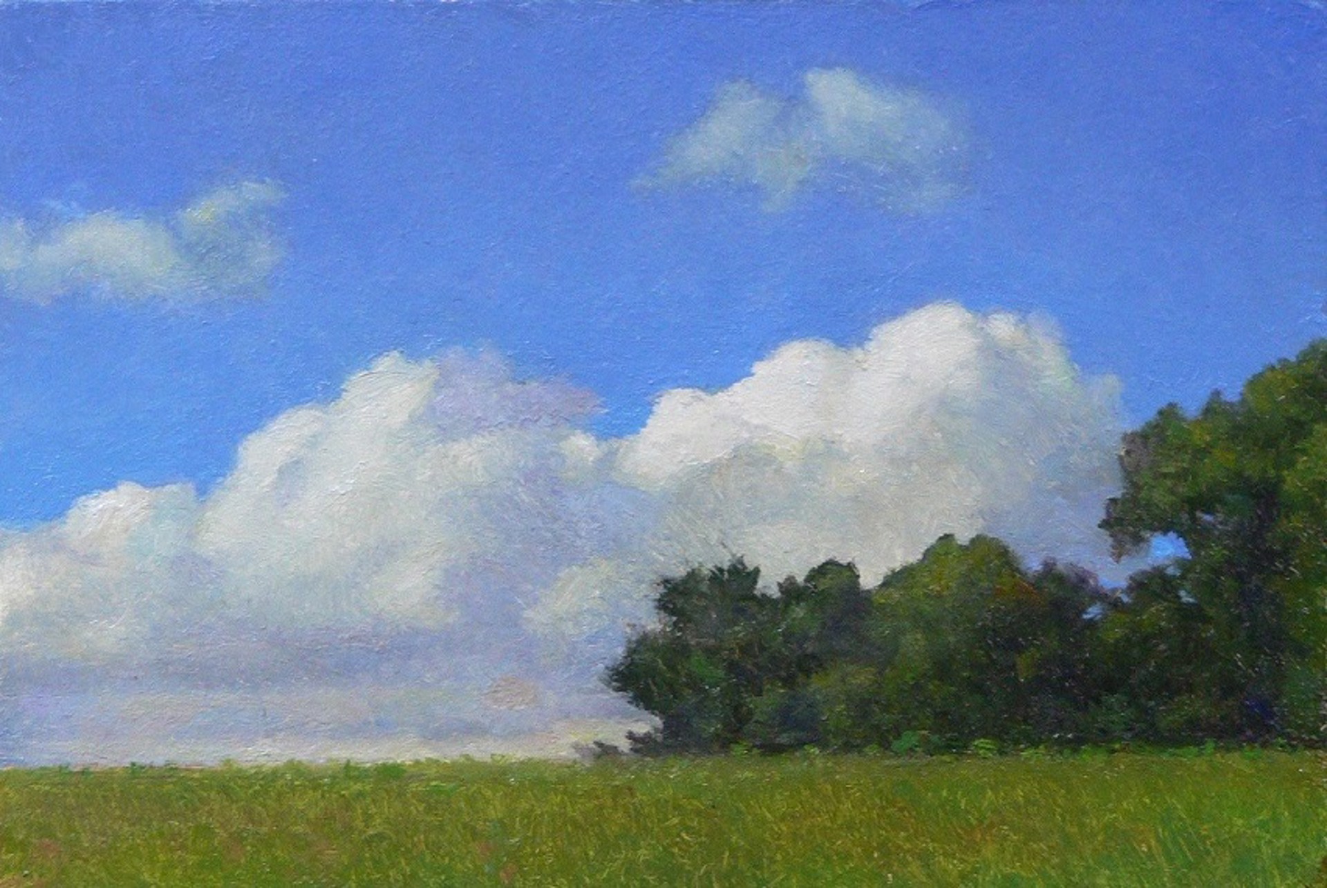 Field and Cloud by Peter Bergeron