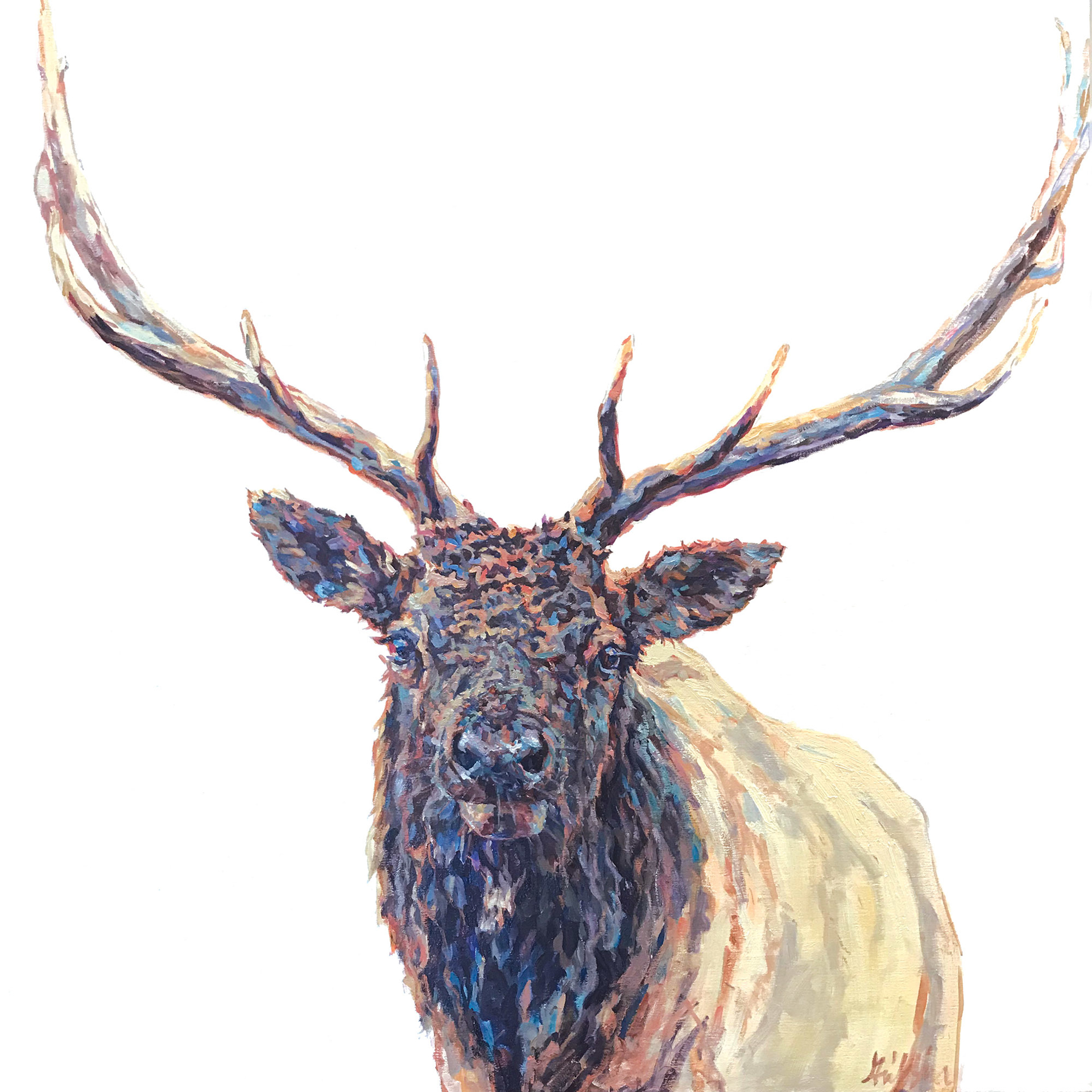 Patricia Griffin Elk Portrait In Oil On Linen, A Contemporary Fine Art Painting and Modern Wildlife Art Piece Available At Gallery Wild