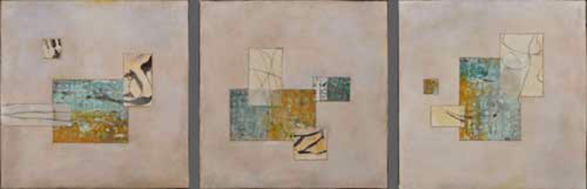 Radicle 41, 42, 43 by Tracey Adams