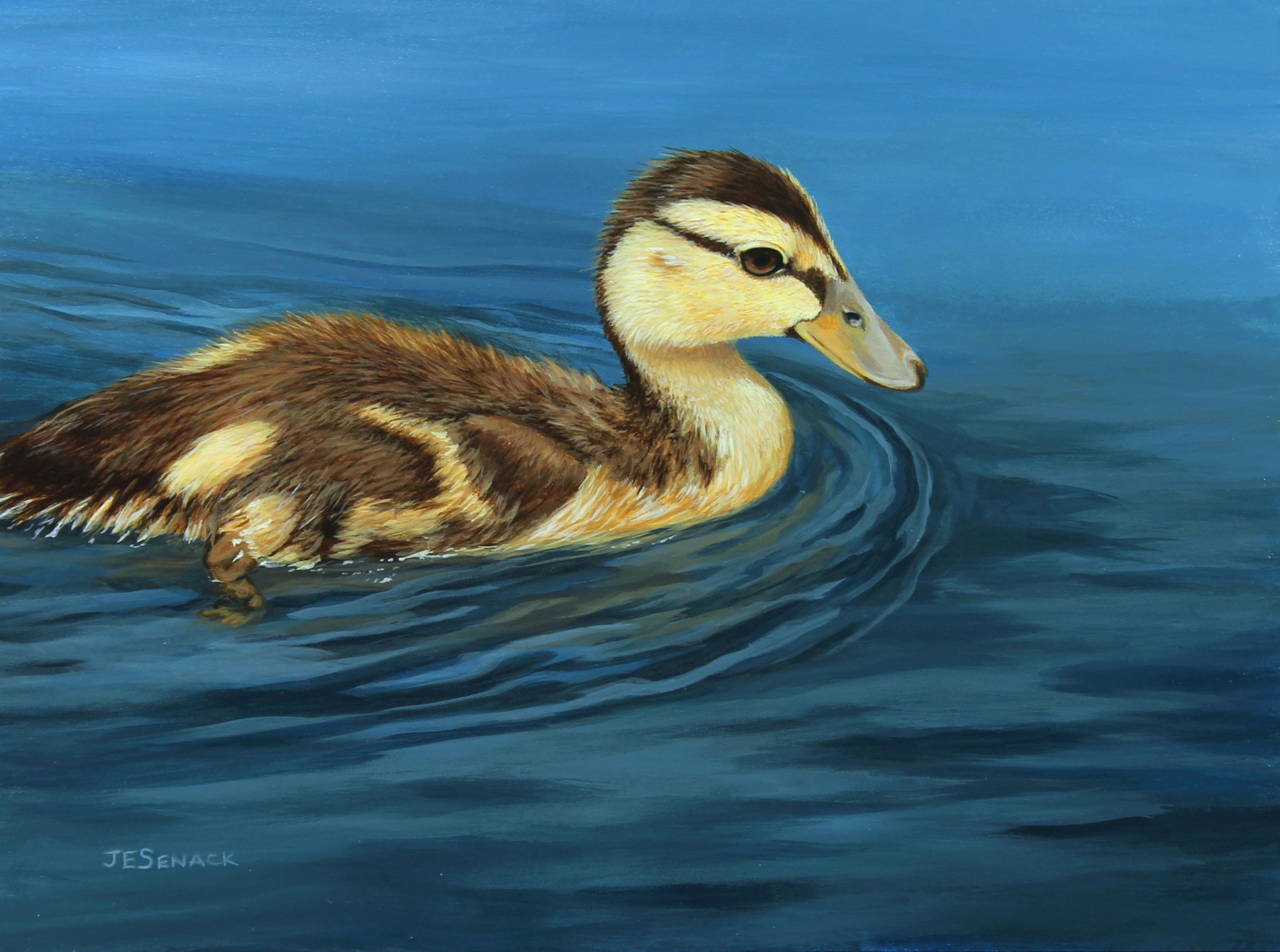 Mallard Duckling by J.Elaine Senack