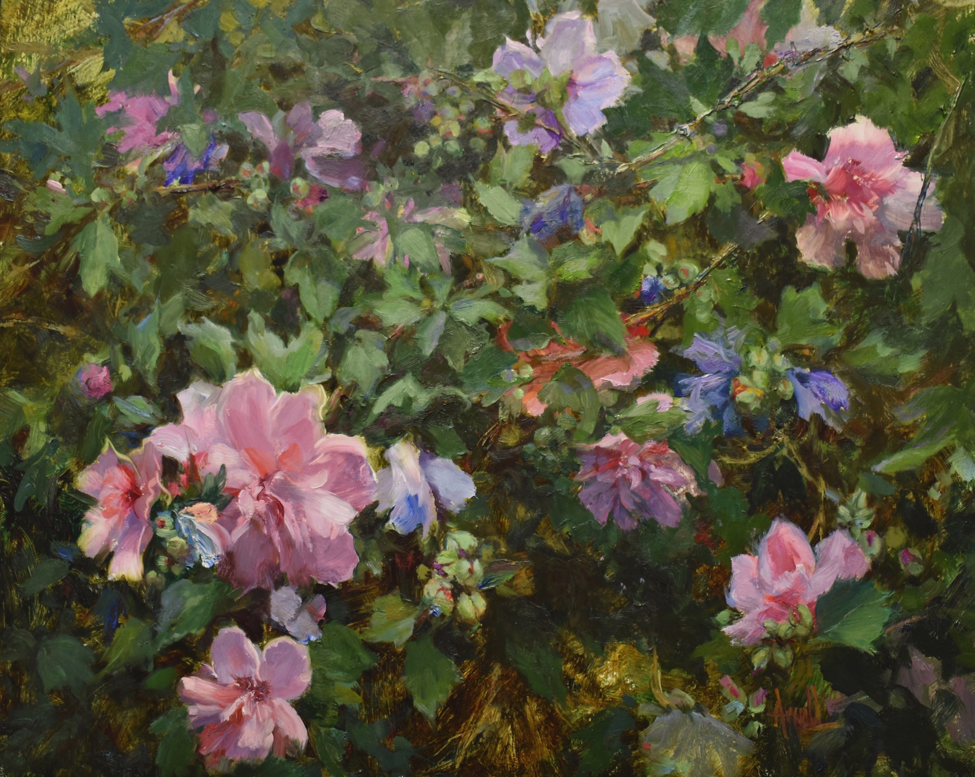 Rose of Sharon by Carol Arnold