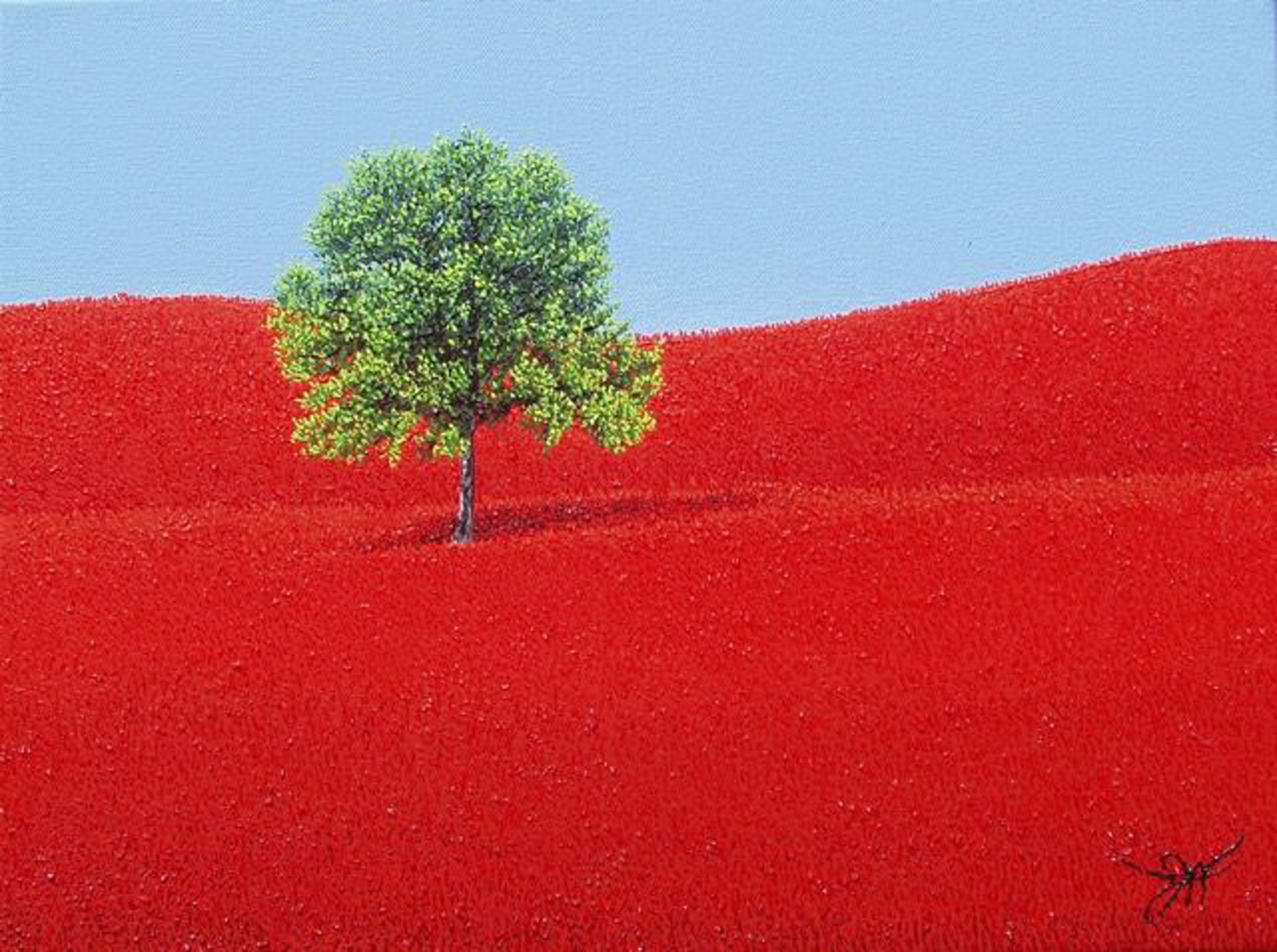 Solitude in Red by Jay Maggio