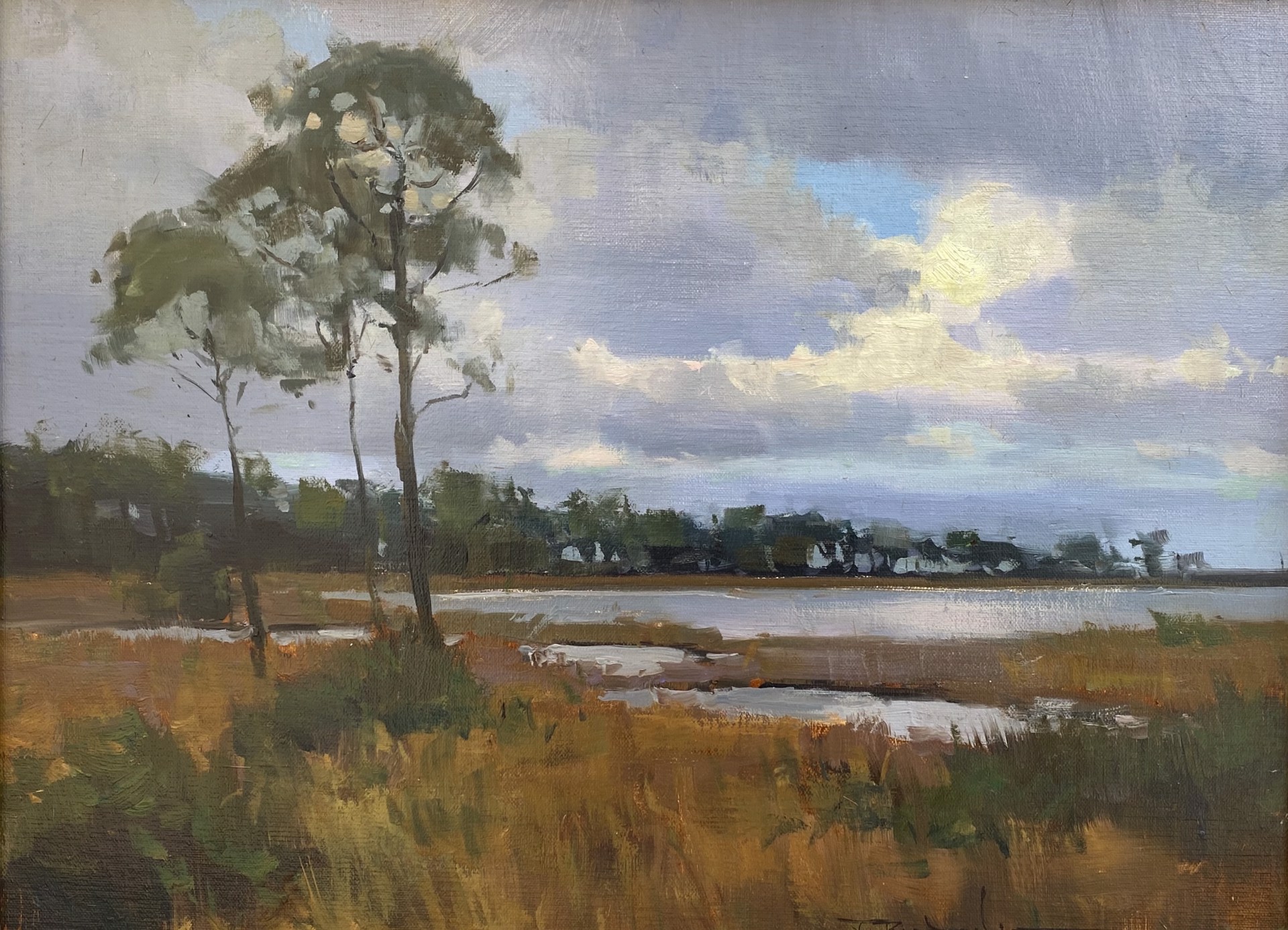Afternoon On The Marsh by James Richards, AIS Master